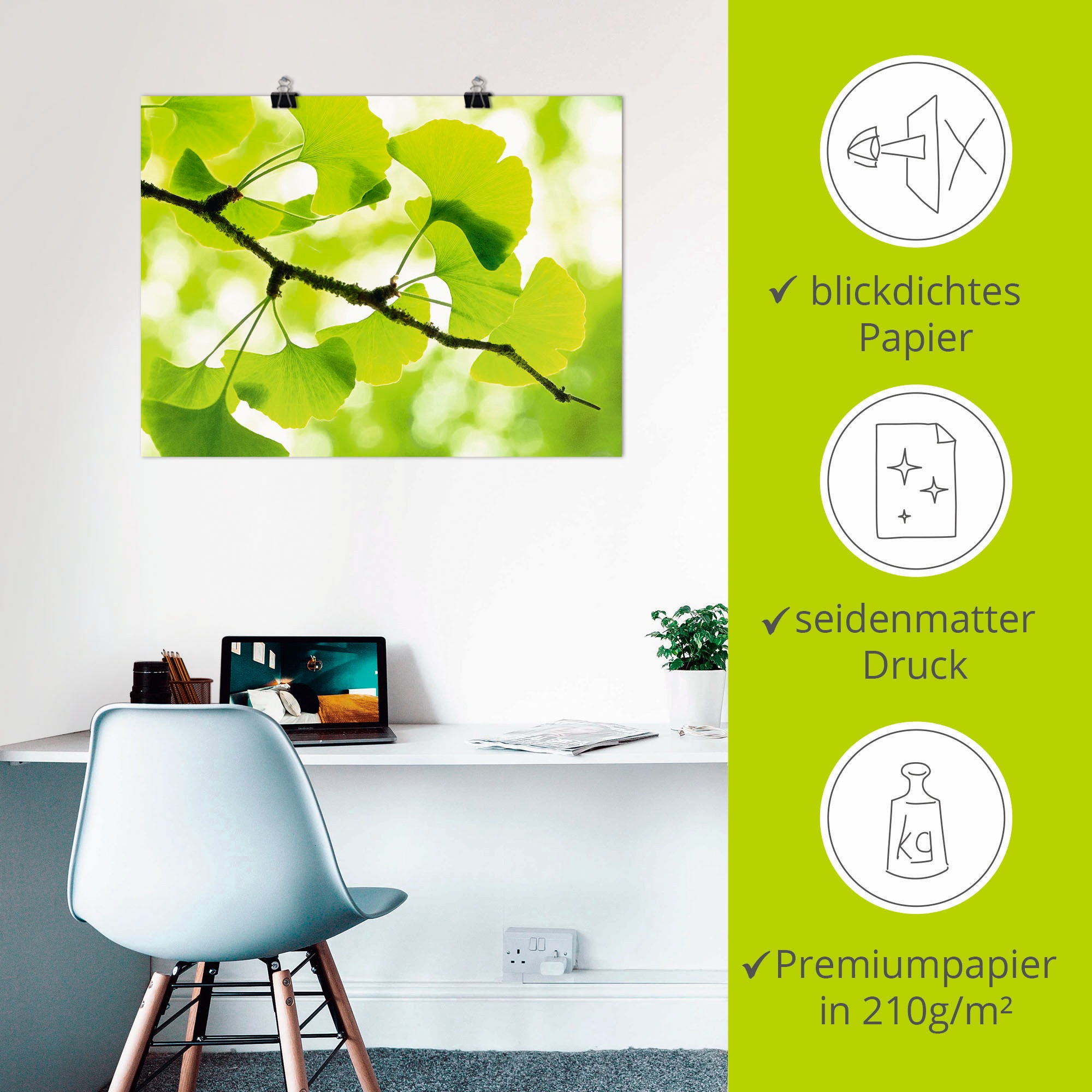 Artland Wandbild »Ginkgo«, Blätter, (1 St.), als Leinwandbild, Poster in verschied. Größen