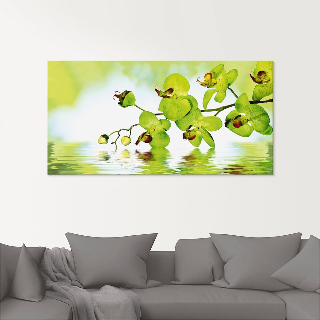 Artland Glasbild »Schöne Orchidee mit grünem Hintergrund«, Blumen, (1 St.)