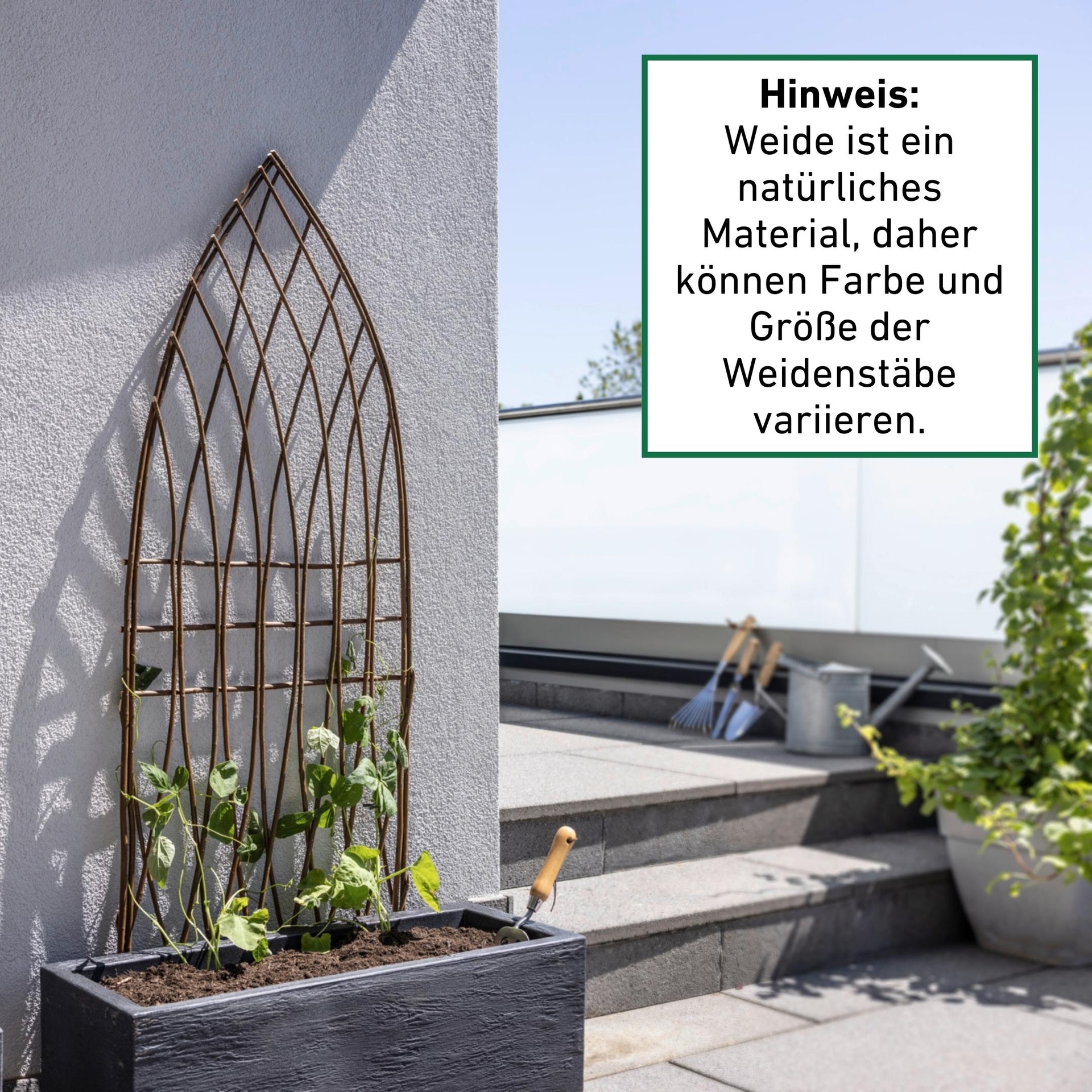 Windhager Rankgitter »aus Weide, Rankhilfe für Kletterpflanze, Natürliche Rankhilfe« Natürliche Rankhilfe, 55x150cm, Spitzbogen