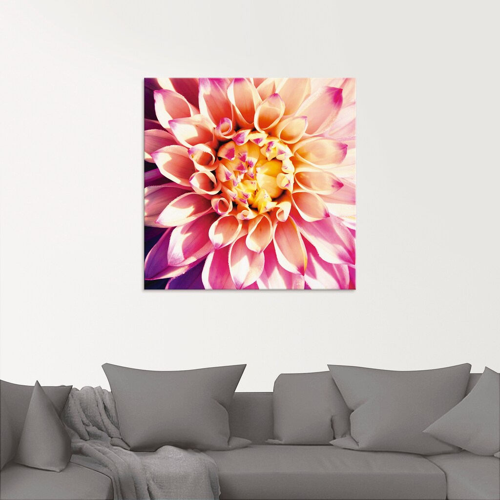 Artland Glasbild »Dahlie«, Blumen, (1 St.)