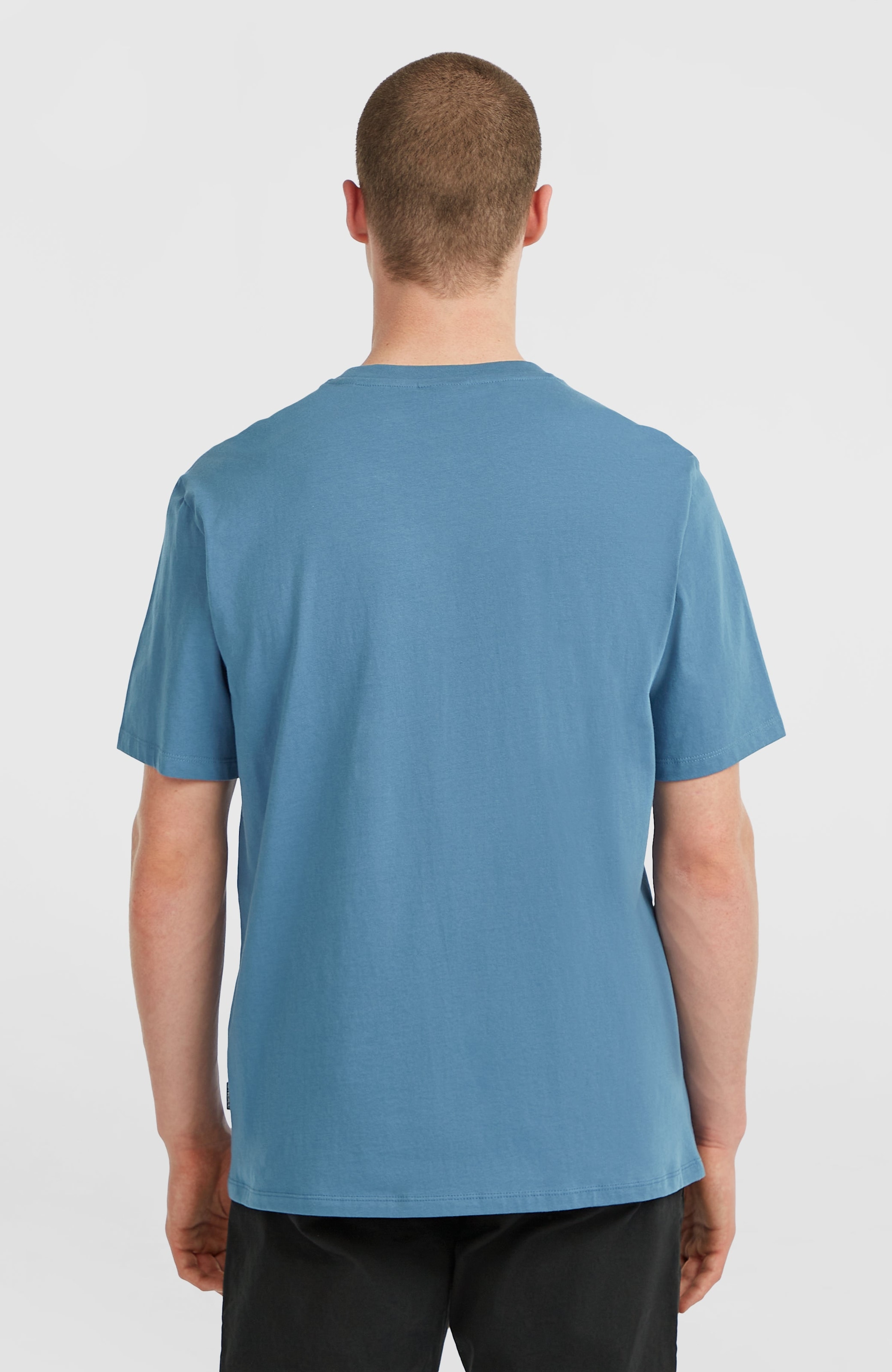 O'Neill T-Shirt »O'NEILL CHEST PRINT T-SHIRT«, (1 tlg.)