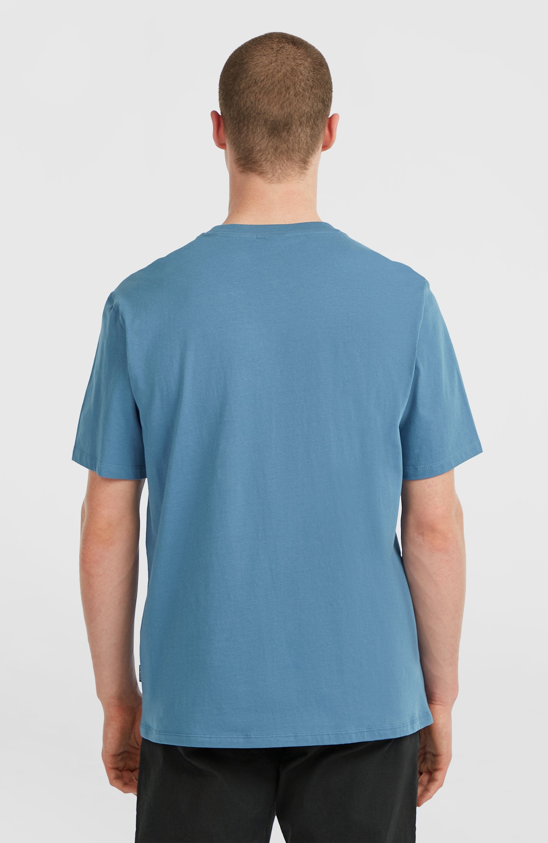 ONeill T-Shirt "ONEILL CHEST PRINT T-SHIRT", (1 tlg.) günstig online kaufen