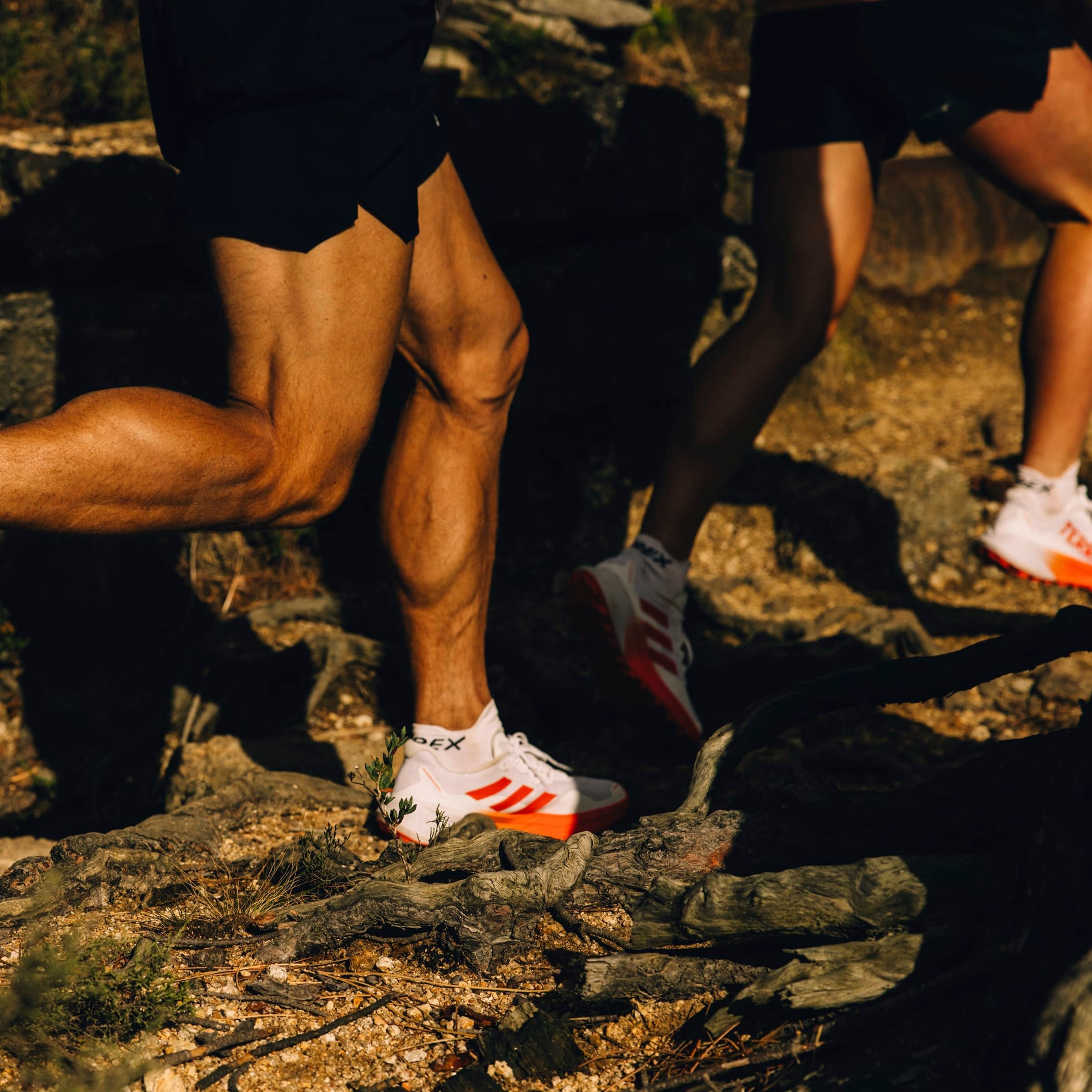 adidas TERREX Trailrunningschuh »TERREX AGRAVIC 3 TRAILRUNNING«