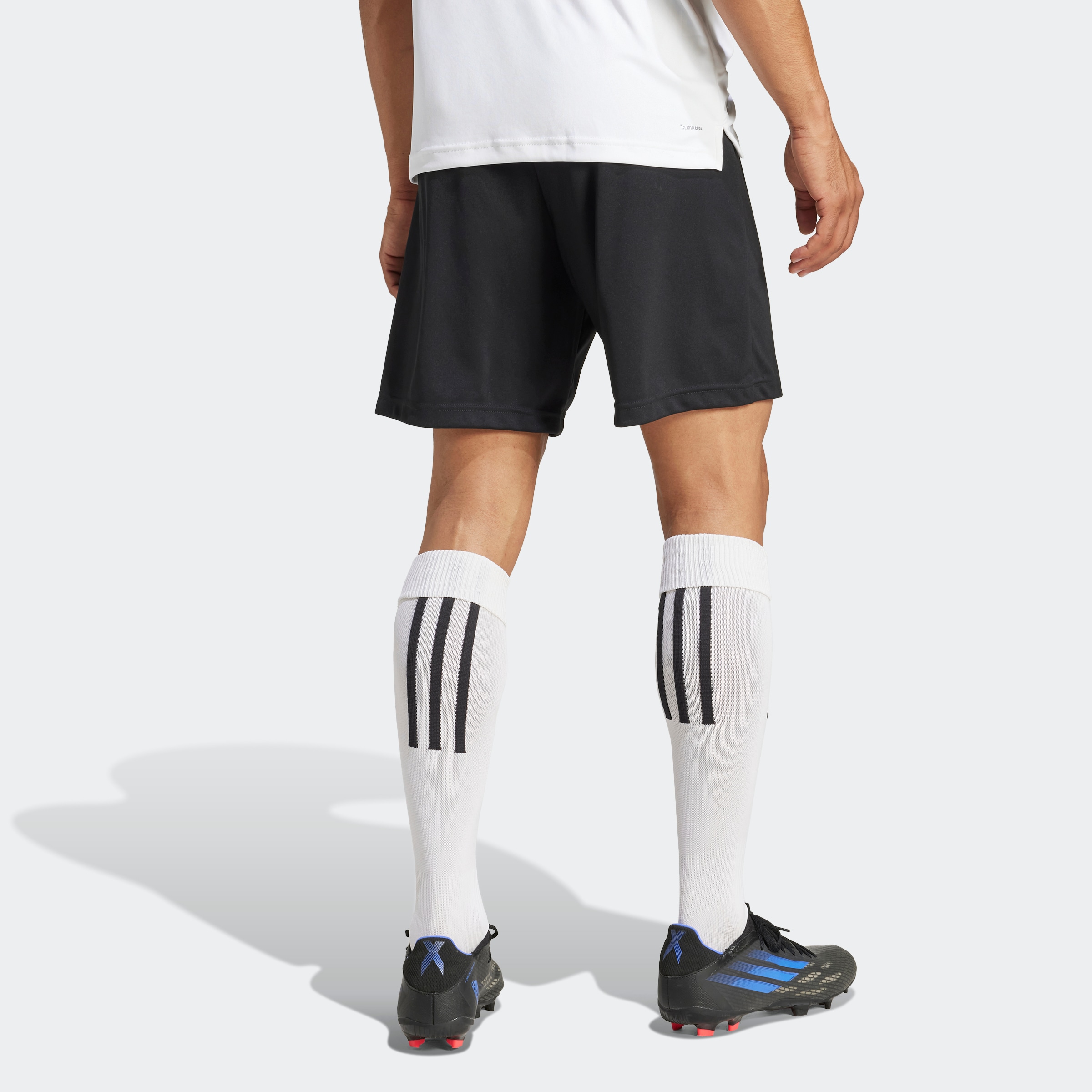 adidas Performance Trainingsshorts »ENT22 SHO«, (1 tlg.)