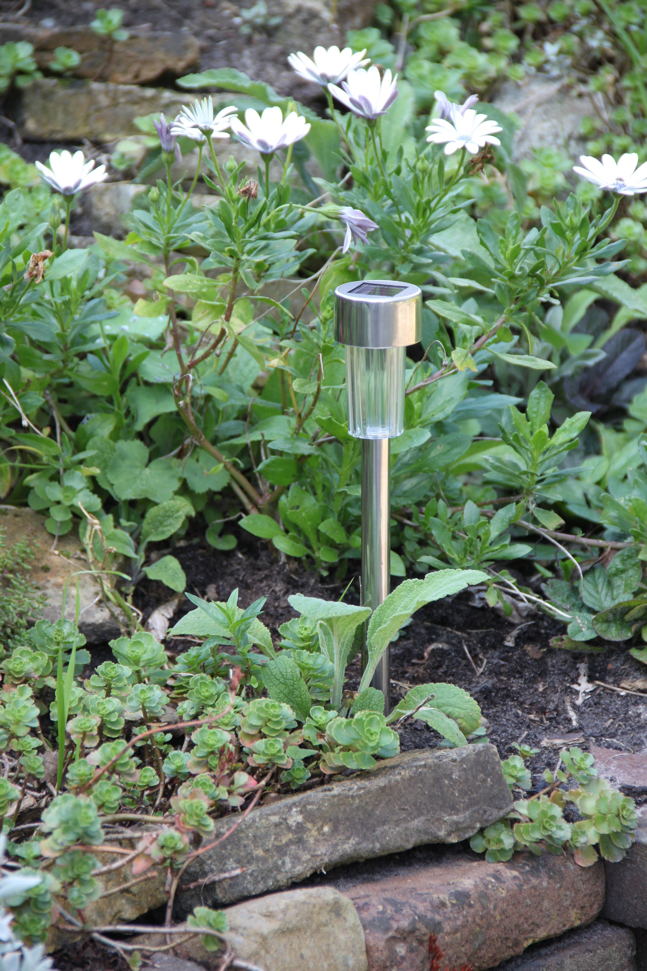 LUXFORM Gartenleuchte "Siena - Solar-Gartenlampe - 8 Stück - Silber" LED-Mo günstig online kaufen