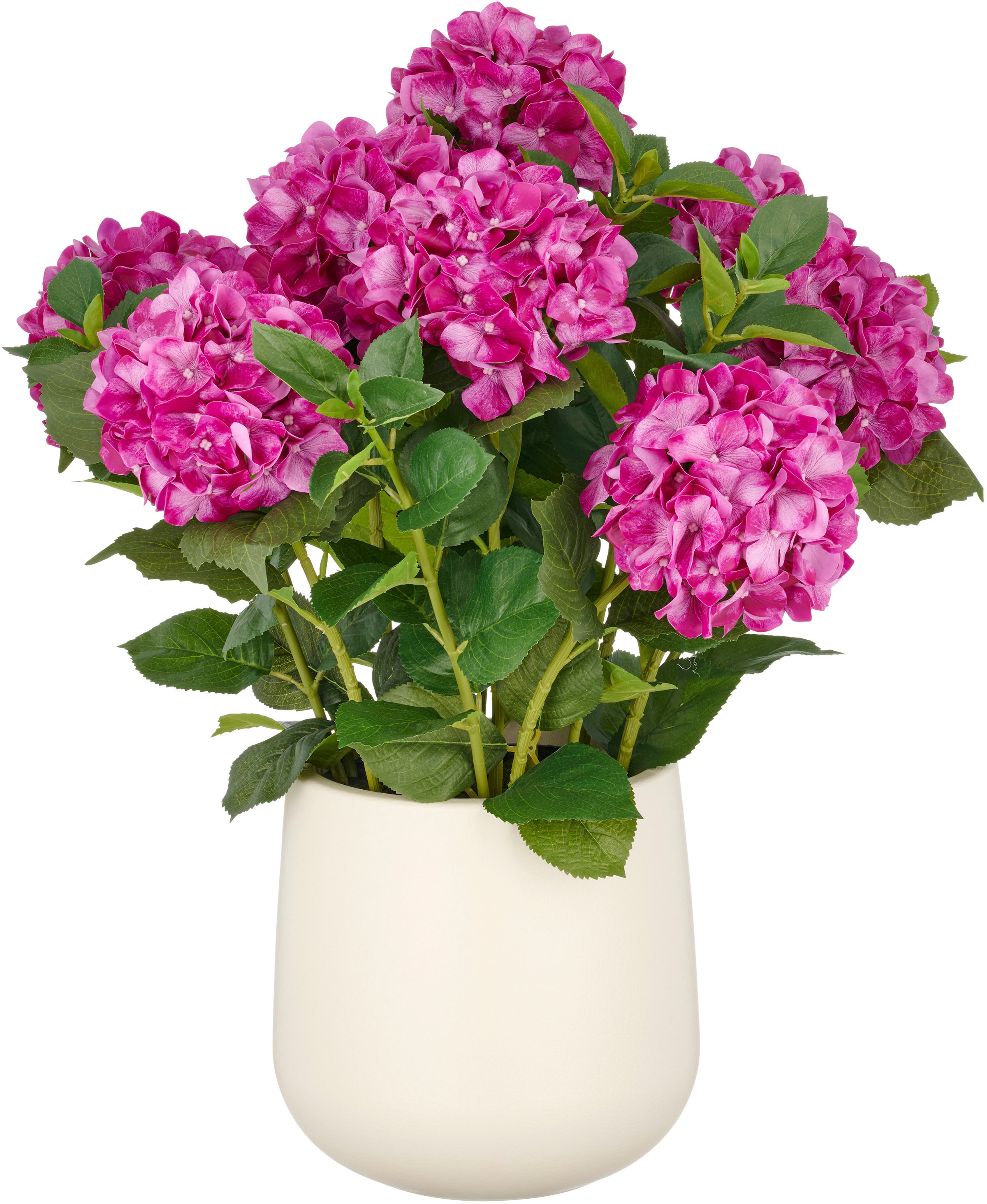Creativ green Kunstpflanze "Hortensie", im eleganten Topf günstig online kaufen
