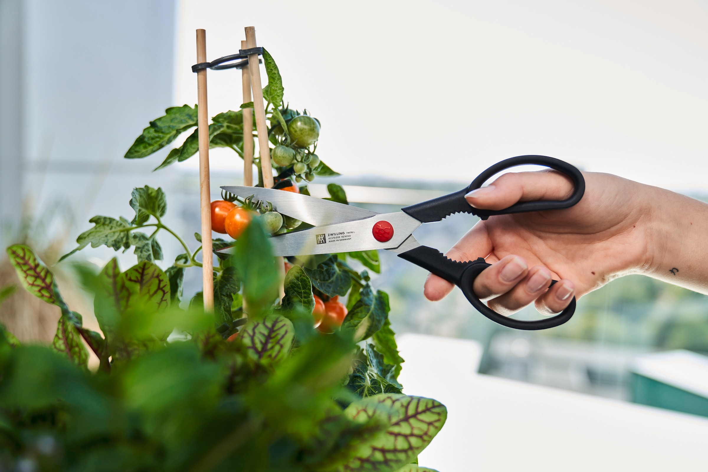 Zwilling Haushaltsschere »TWIN L«, (1 tlg.), Rostfreier Spezialstahl, Ergonomisch, 23 cm, schwarz