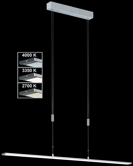 FISCHER & HONSEL LED Pendelleuchte »Metz«, 1 flammig, Leuchtmittel LED-Modul | LED fest integriert