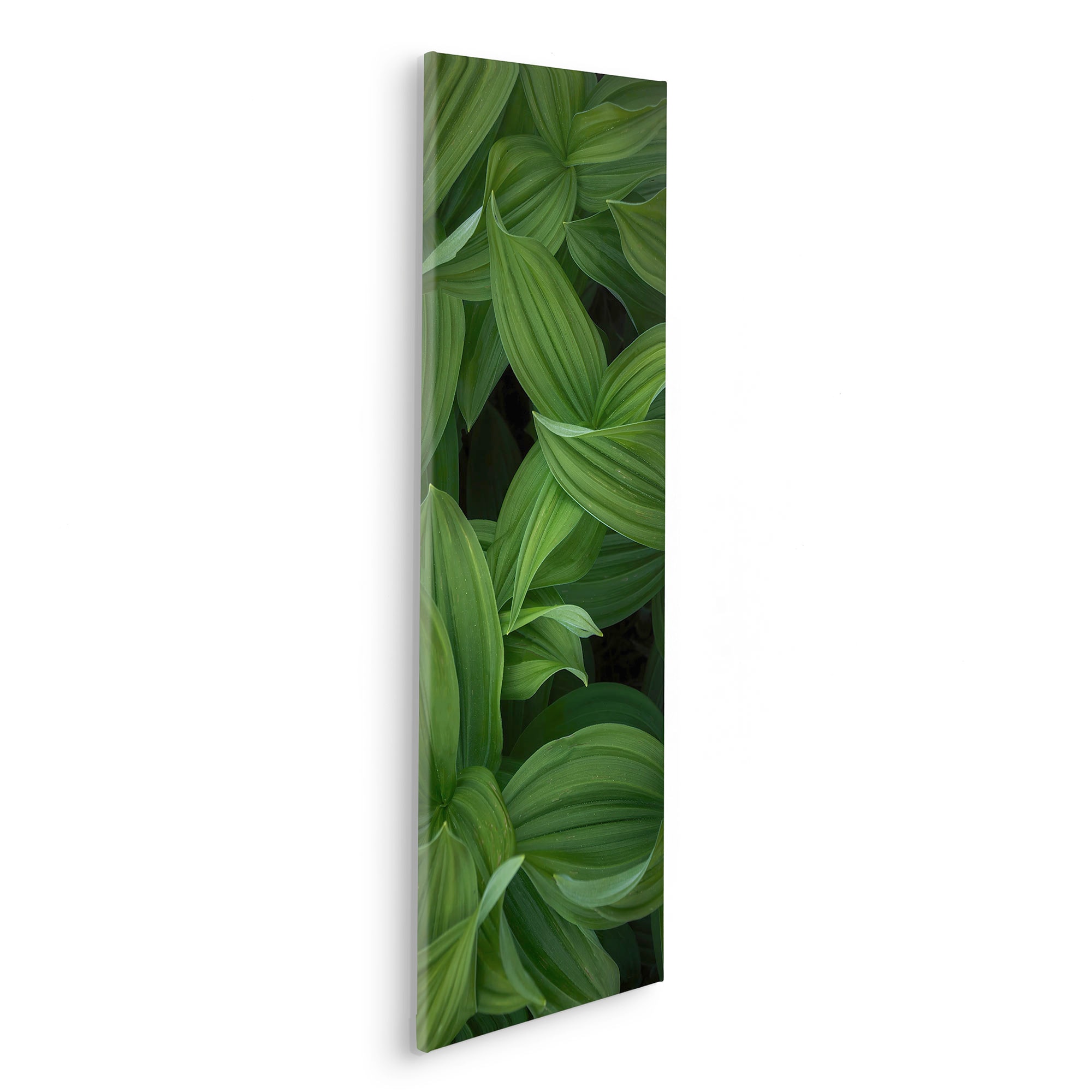 Komar Leinwandbild "Ancilla - Größe 30 x 90 cm" Natur 1 Stk. tlg. Keilrahme günstig online kaufen