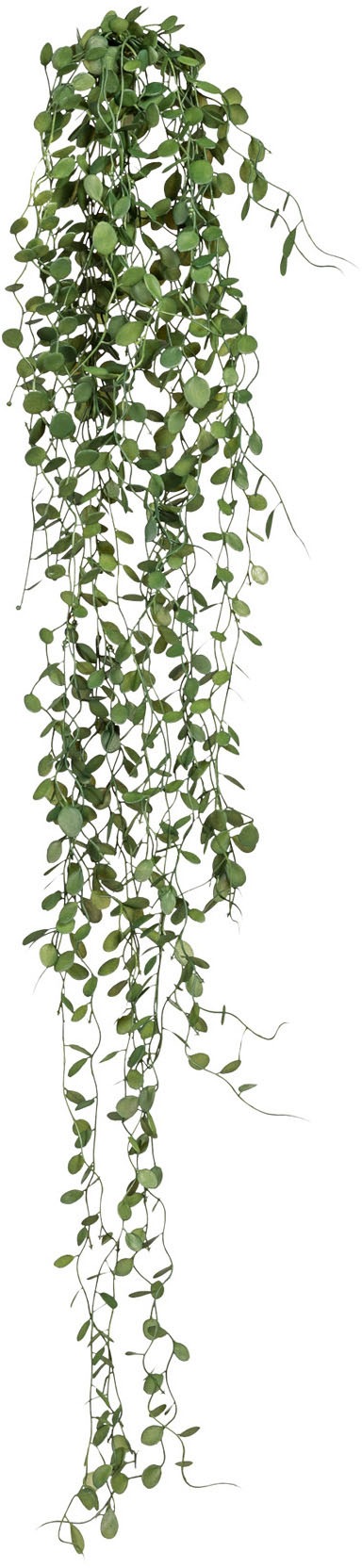 Creativ green Kunstranke "Mühlenbeckia-Hänger", 2er Set günstig online kaufen