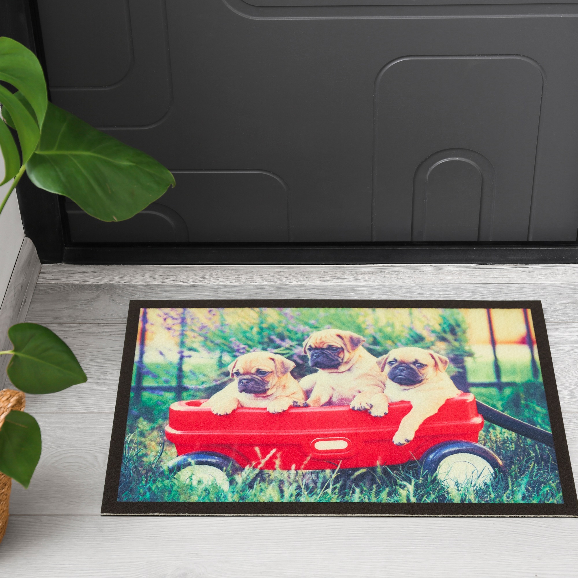 Andiamo "Modern" rechteckig 6,5 mm Höhe Schmutzfangmatte, bedruckt, diverse günstig online kaufen