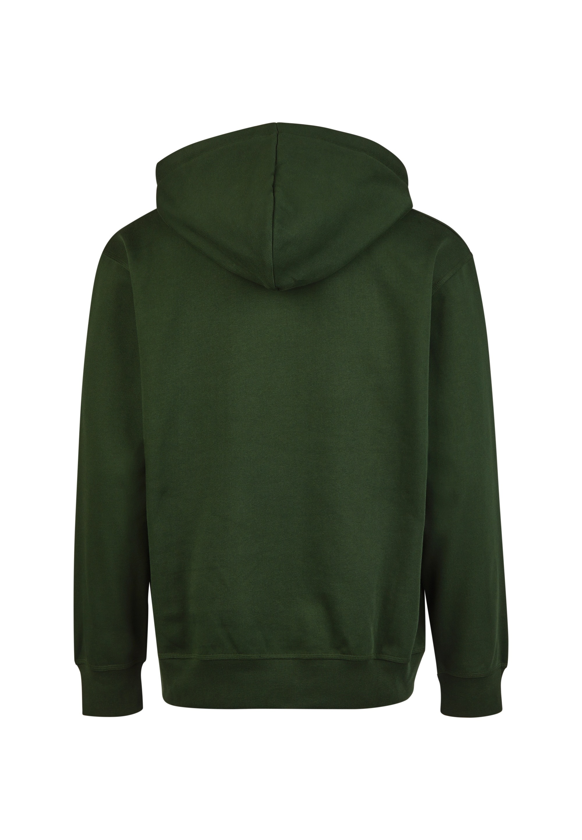 Cleptomanicx Kapuzensweatshirt »Sketch Gull«, mit toller Stickerei auf der Brust