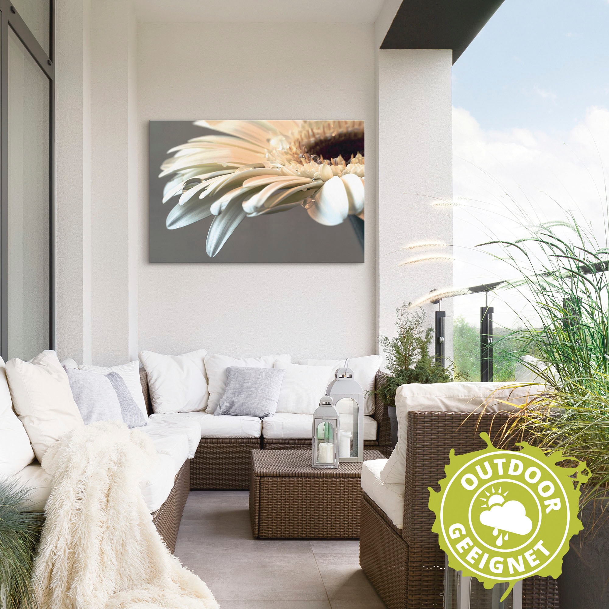 Artland Wandbild »Blüte einer Gerbera«, Blumen, (1 St.), als Leinwandbild, Poster, Wandaufkleber in verschied. Größen