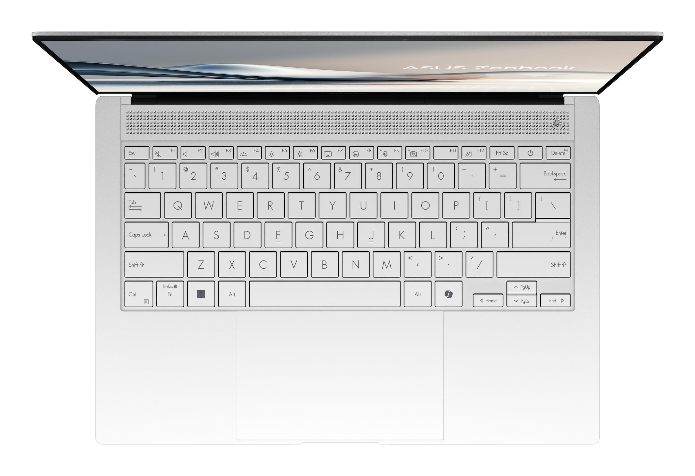 Asus Gaming-Notebook »Zenbook S 14 U7-256V 16 1TB UX5406SA-PV044W«, 35,6 cm, / 14 Zoll, Intel, Core Ultra 7, 1000 GB SSD