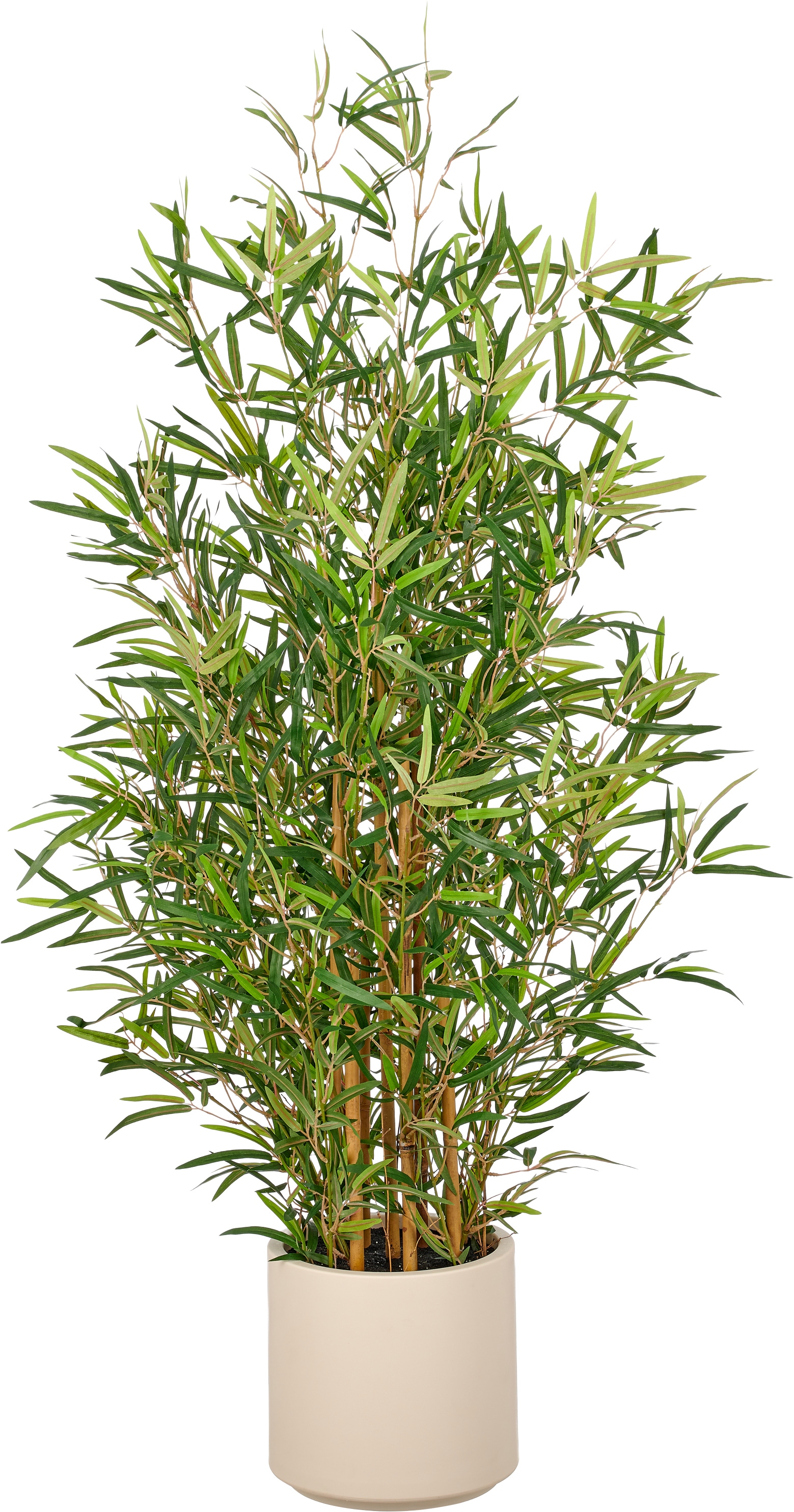 Creativ green Kunstbambus "Bambus fargesia" mit naturgetreuem Blattwerk