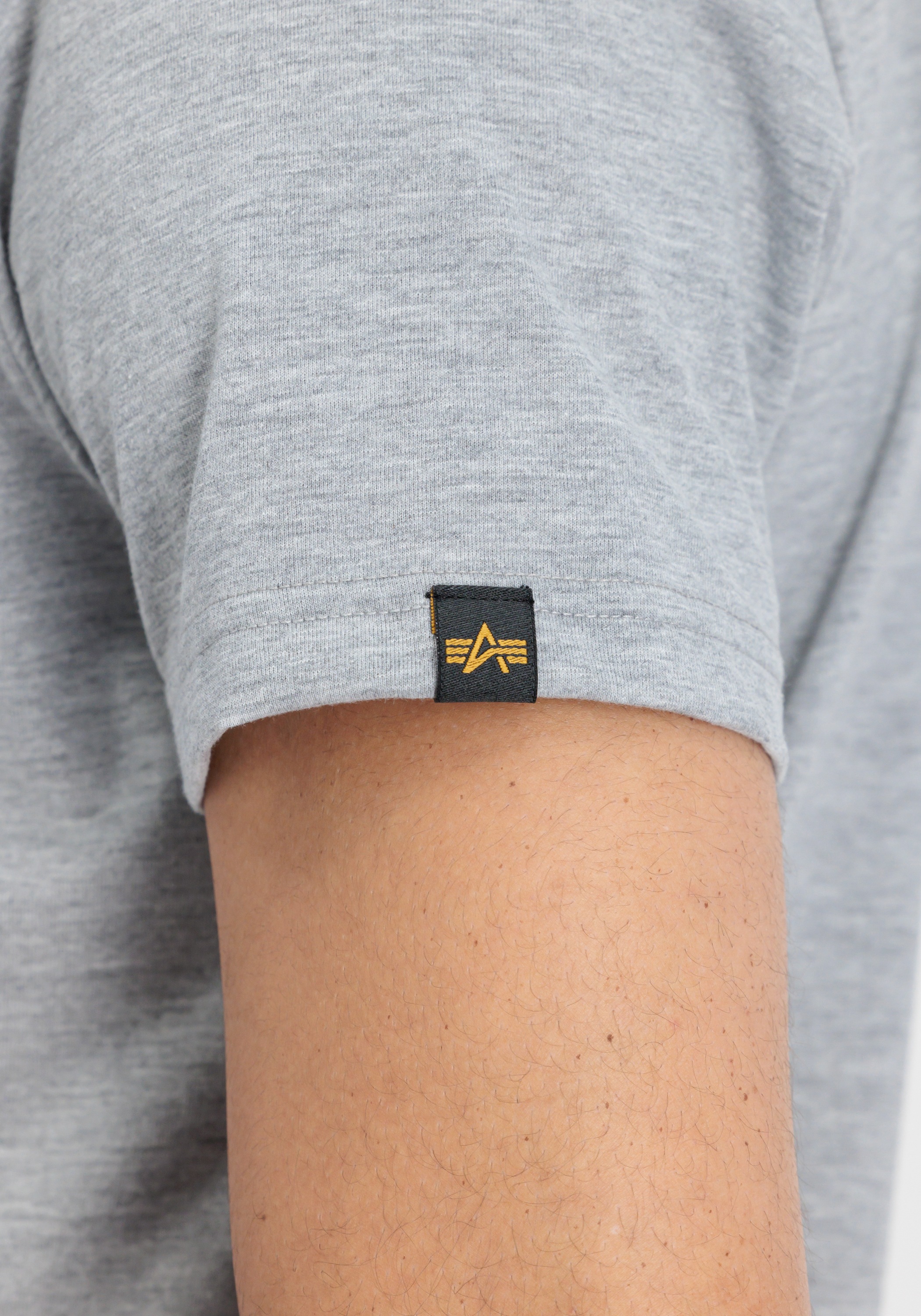 Alpha Industries T-Shirt »Basic T-Shirt BL«