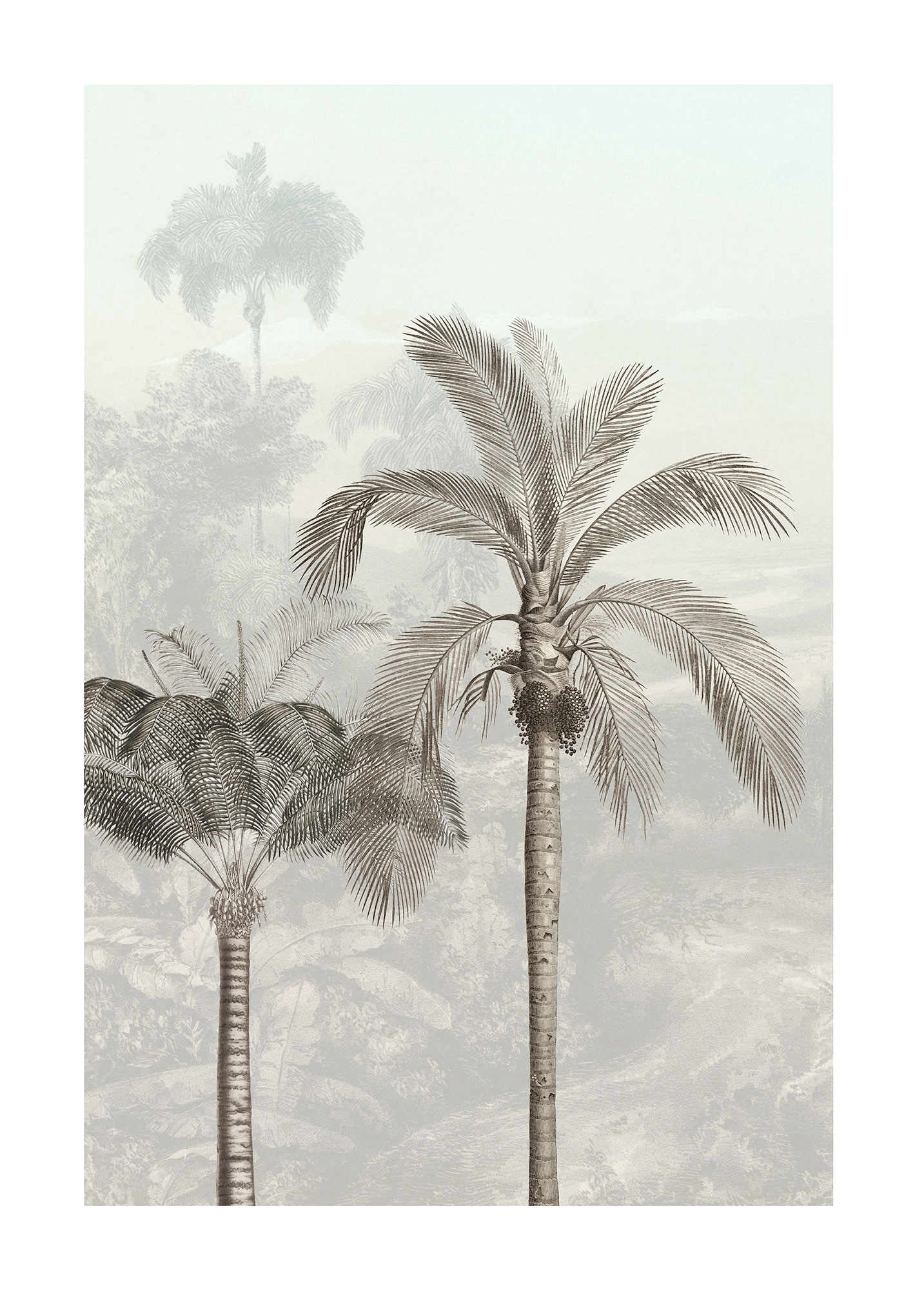 Komar Bild "Jungle Panorama" Natur 1 tlg. Wandbild zur Dekoration - ohne Ra günstig online kaufen