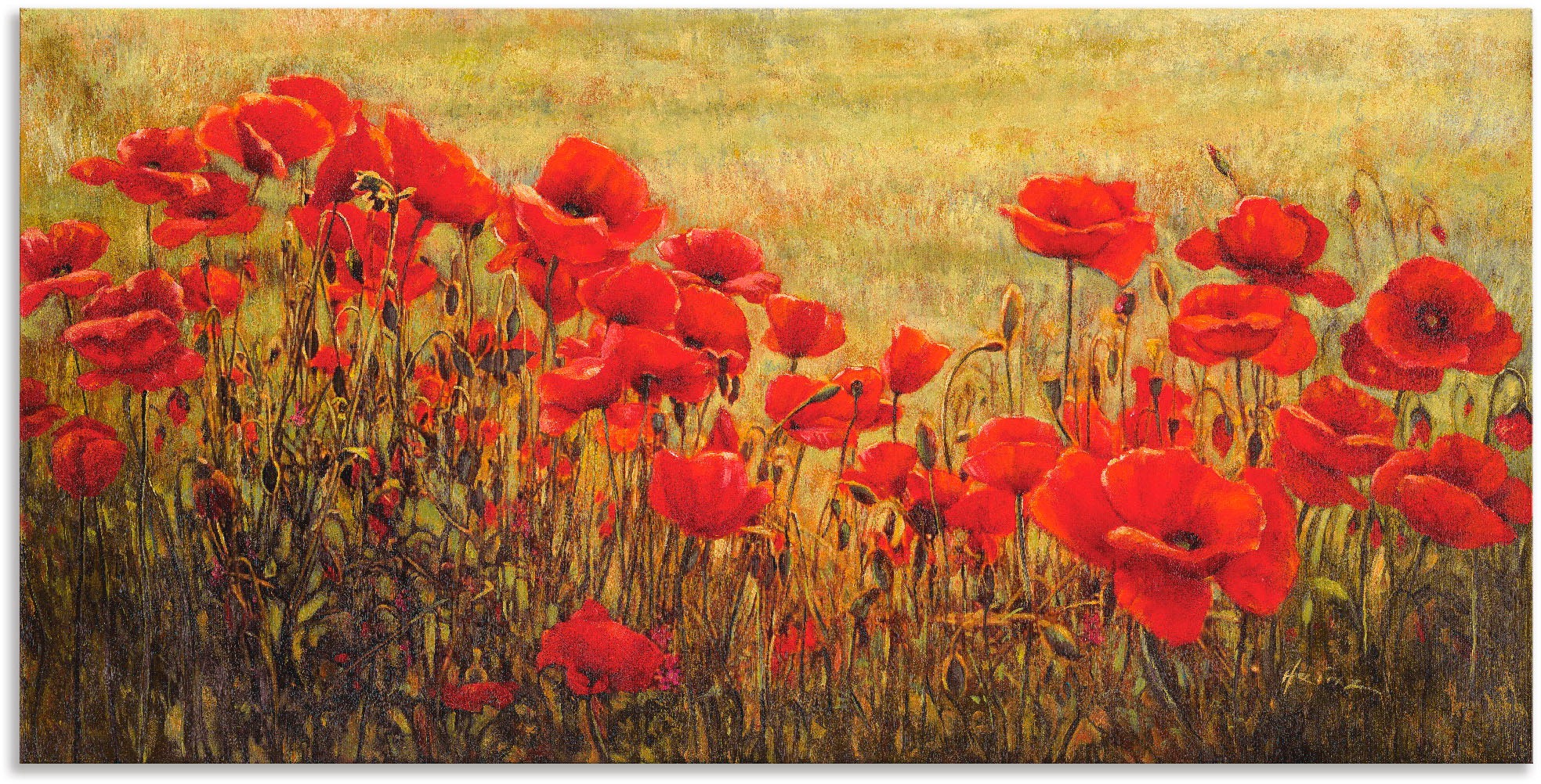 Artland Wandbild "Mohnfeld", Blumenwiese, (1 St.), als Alubild, Outdoorbild günstig online kaufen