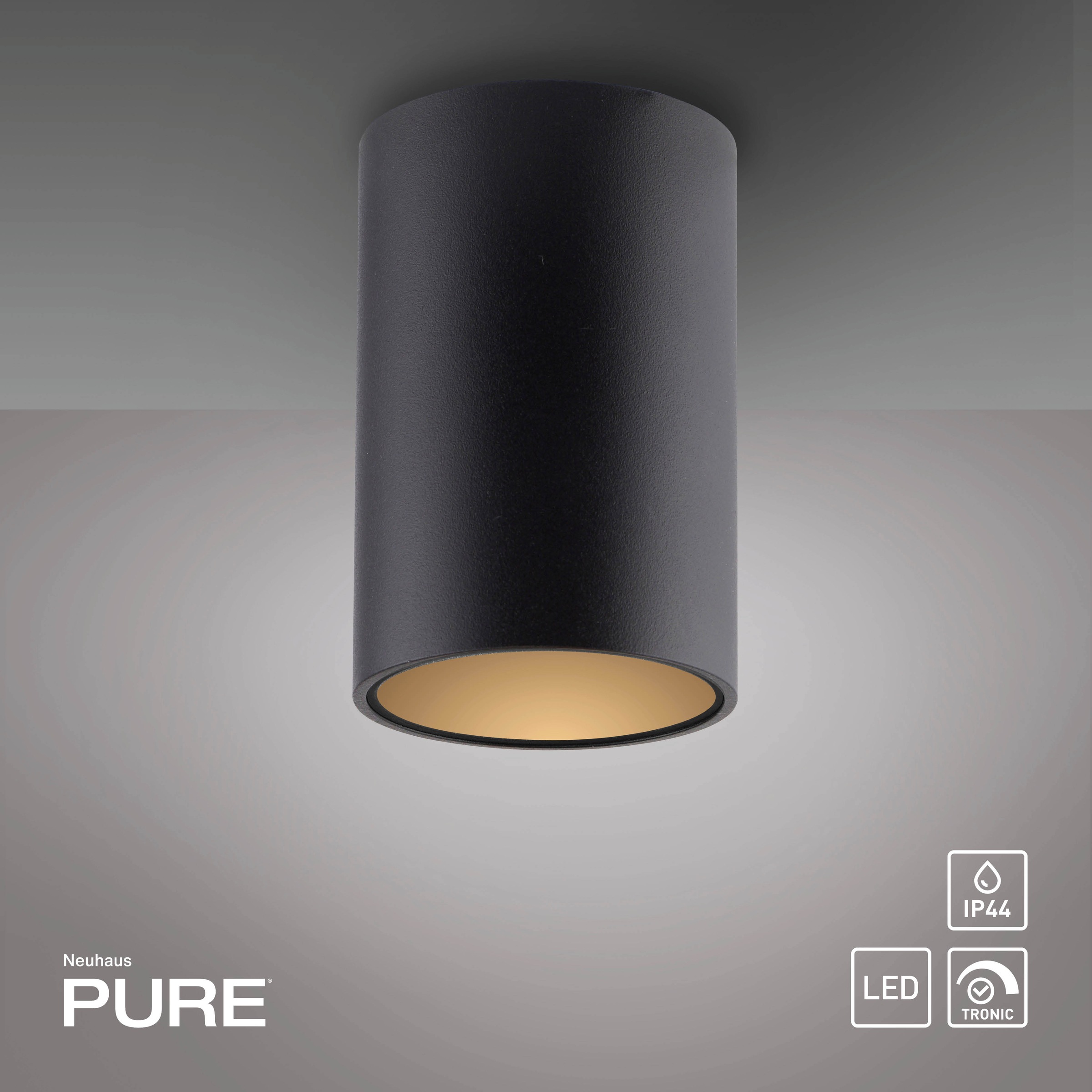 Neuhaus PURE LED Deckenleuchte »PURE Point« LED-Board 1 Stk. Warmweiß Dimmfähig über separaten Tronicdimmer, IP44