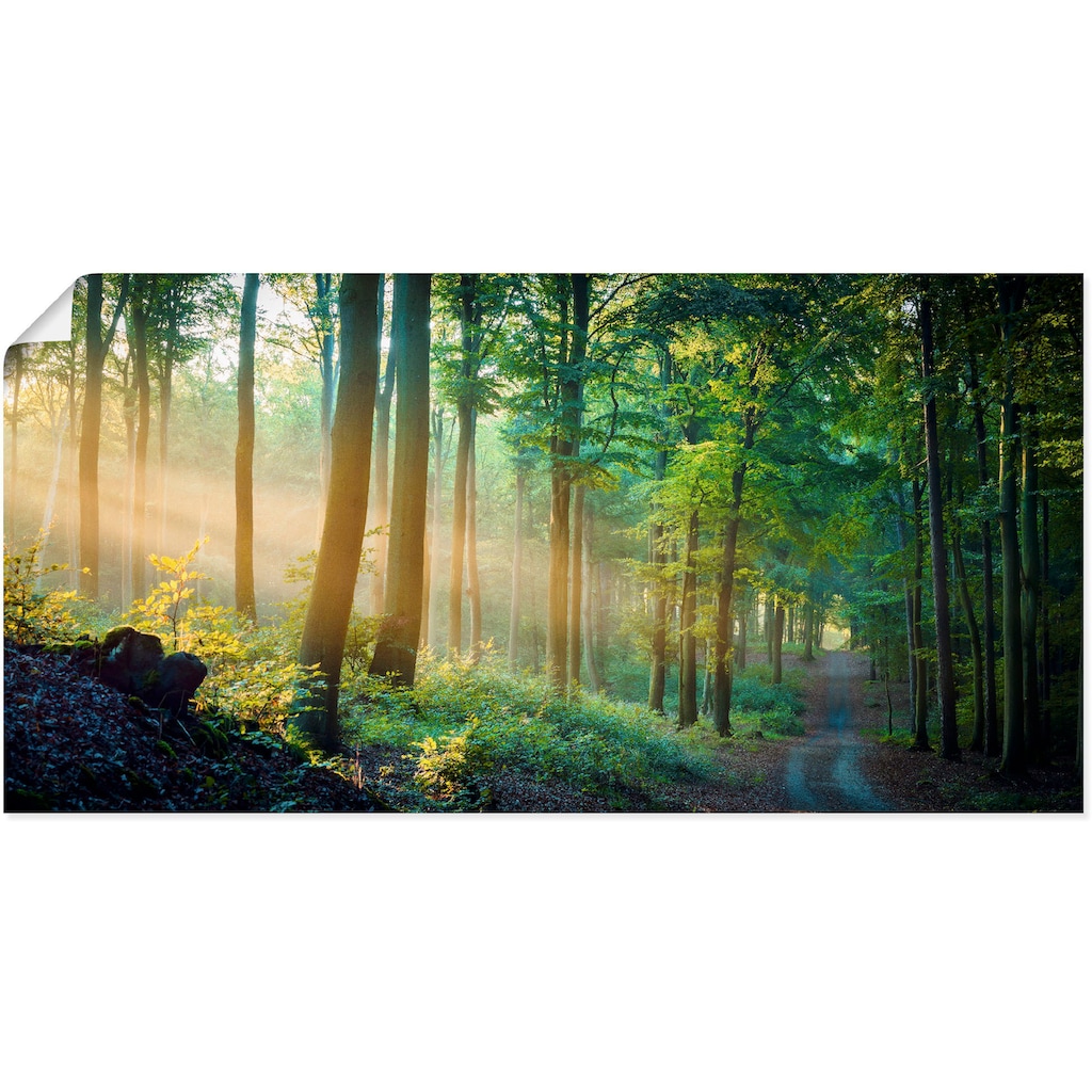 Artland Wandbild »Herbstmorgen im Wald«, Waldbilder, (1 St.)