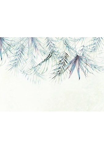 Komar Vliestapete »Palm Spring« 350x250 cm (...