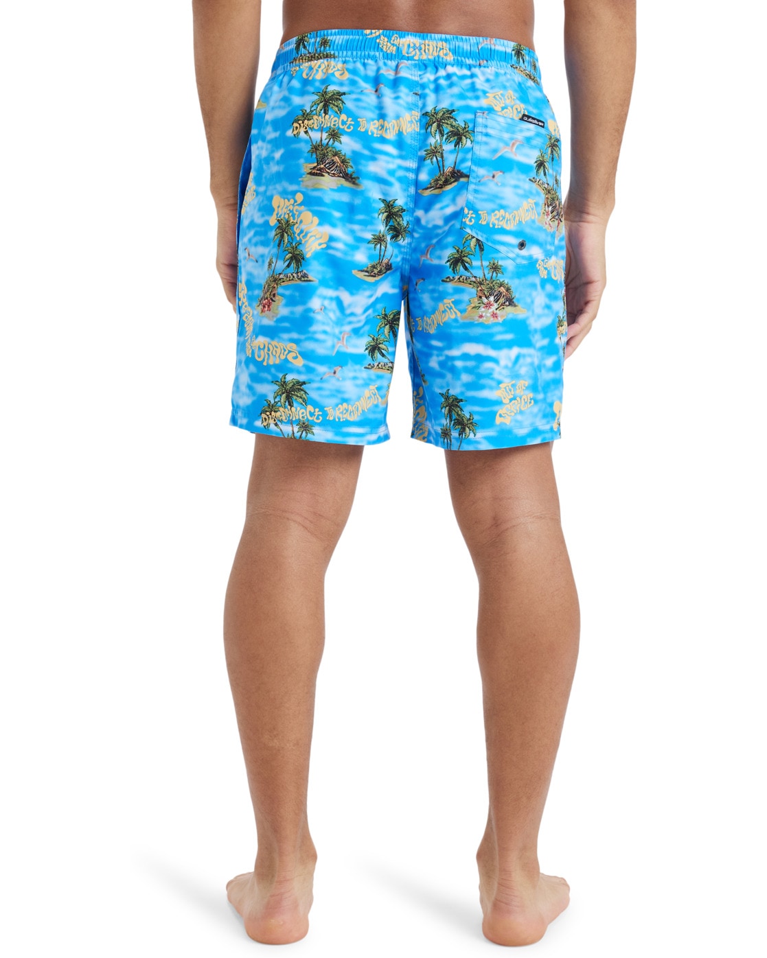 Quiksilver Boardshorts »Everyday Straight 17"«
