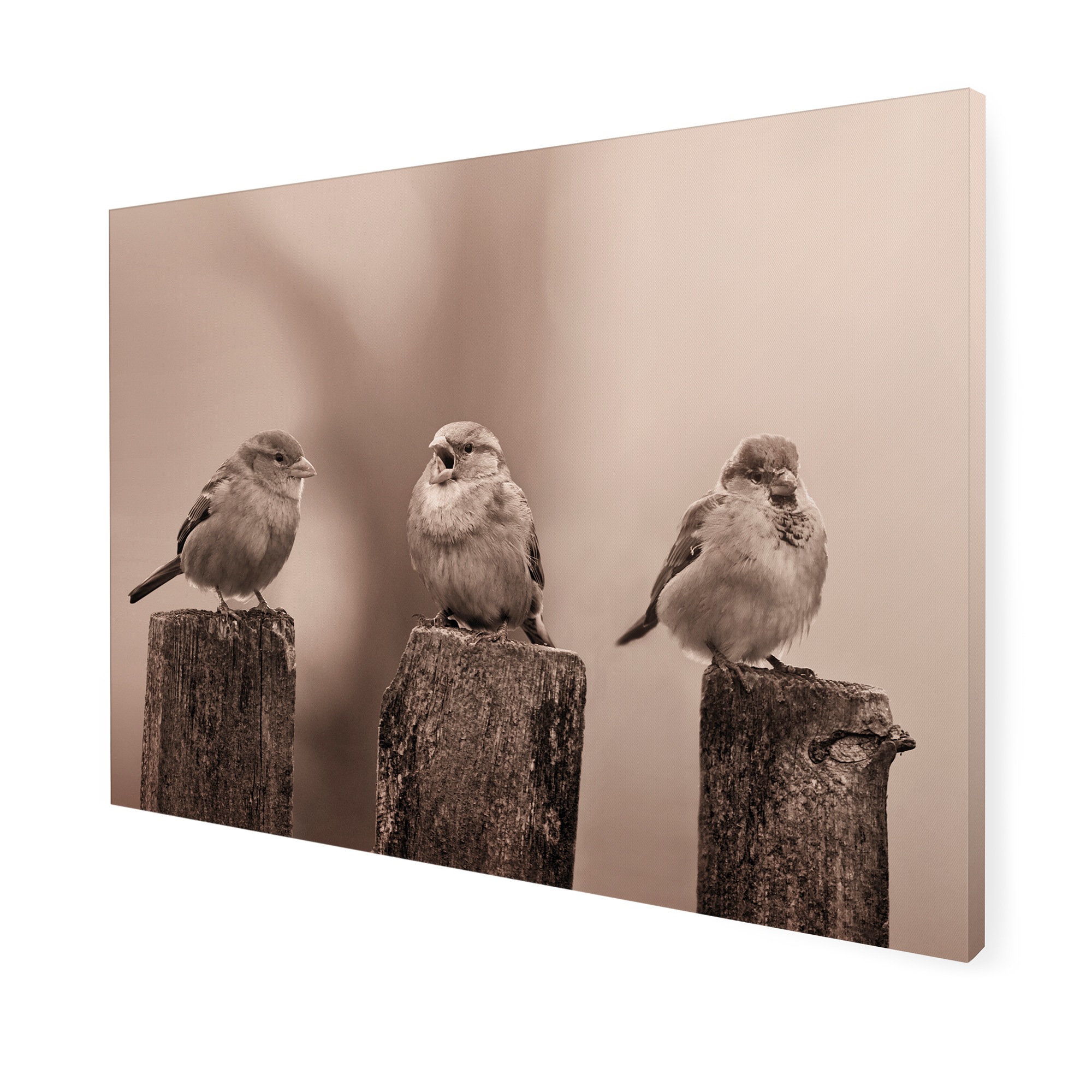 Art for the home Leinwandbild »Outdoor Vogel 50x70cm«, Landschaften, (1 St.)
