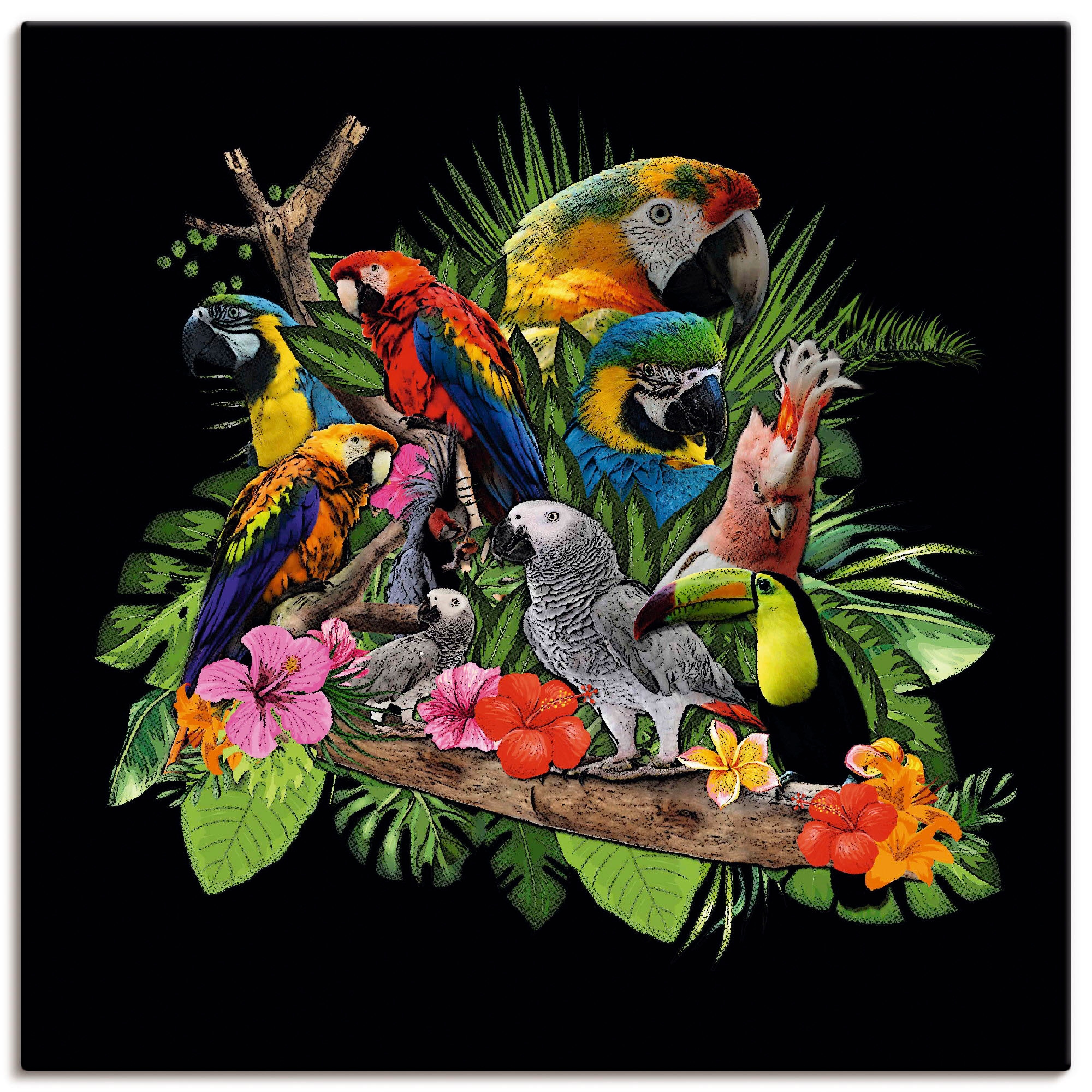 Leinwandbild, Artland als Wandbild Größen bestellen Kakadu St.), versch. Vögel, Dschungel«, Poster (1 Alubild, | BAUR in oder »Papageien Wandaufkleber Graupapagei