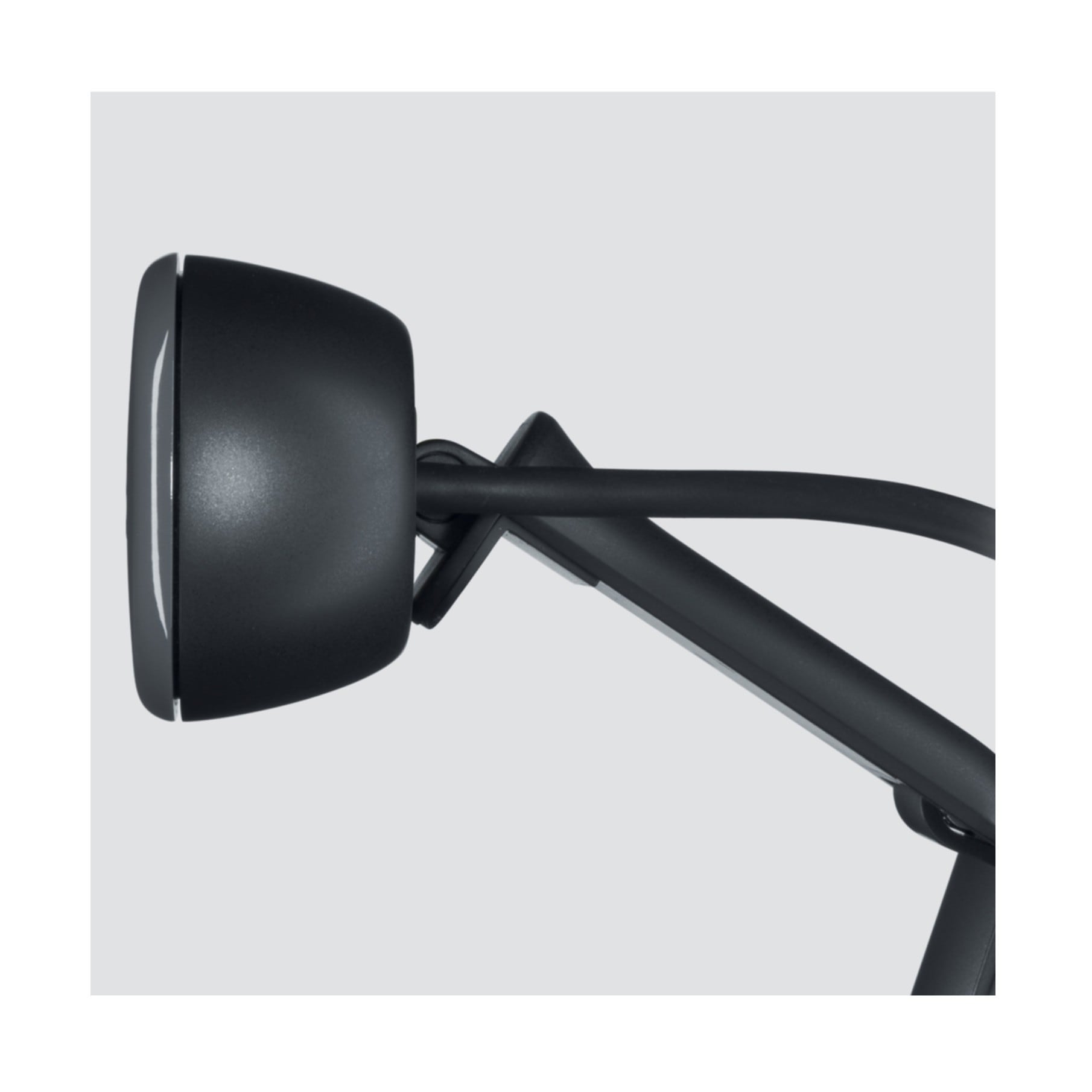 Logitech Webcam »C505 HD«