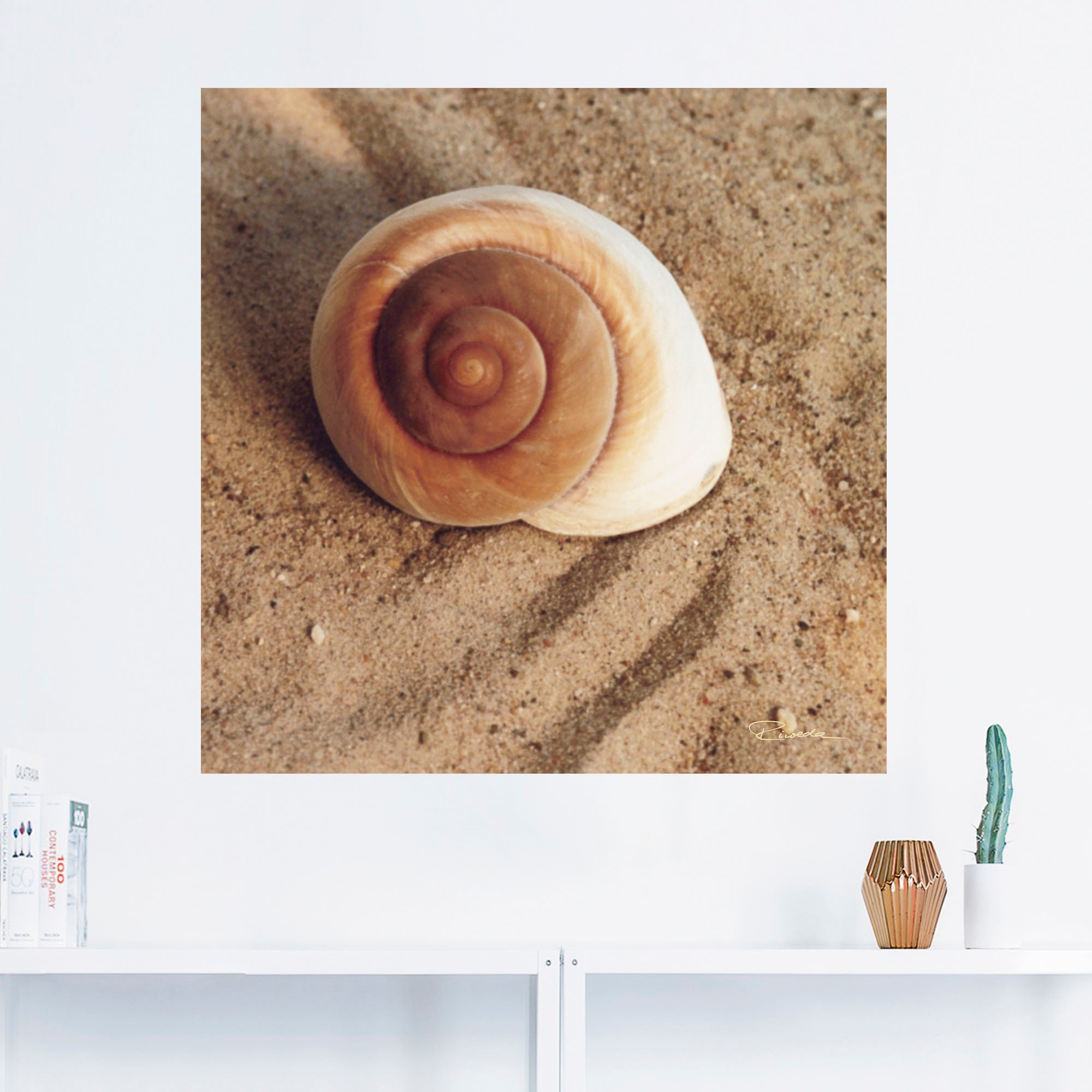 Artland Wandbild "Muschel", Wassertiere, (1 St.), als Alubild, Outdoorbild, günstig online kaufen