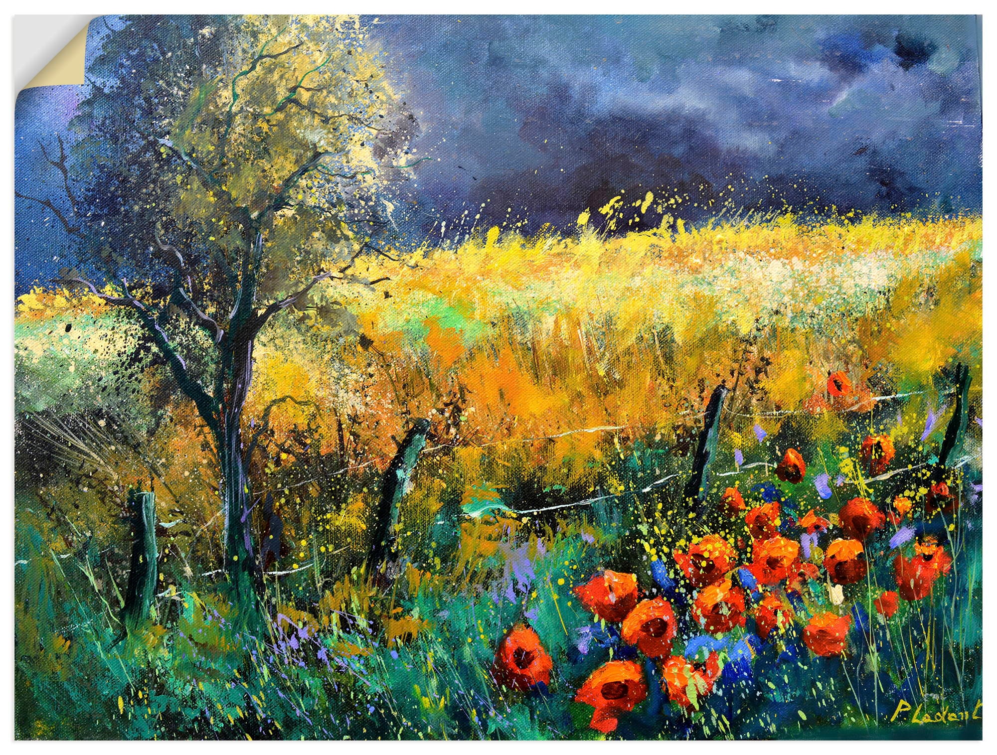 Artland "Red poppies" Wiesen & Baumbilder 1 Stk. tlg. als Alubild, Leinwandbild, Poster, Wandaufkleber in verschied. Größen