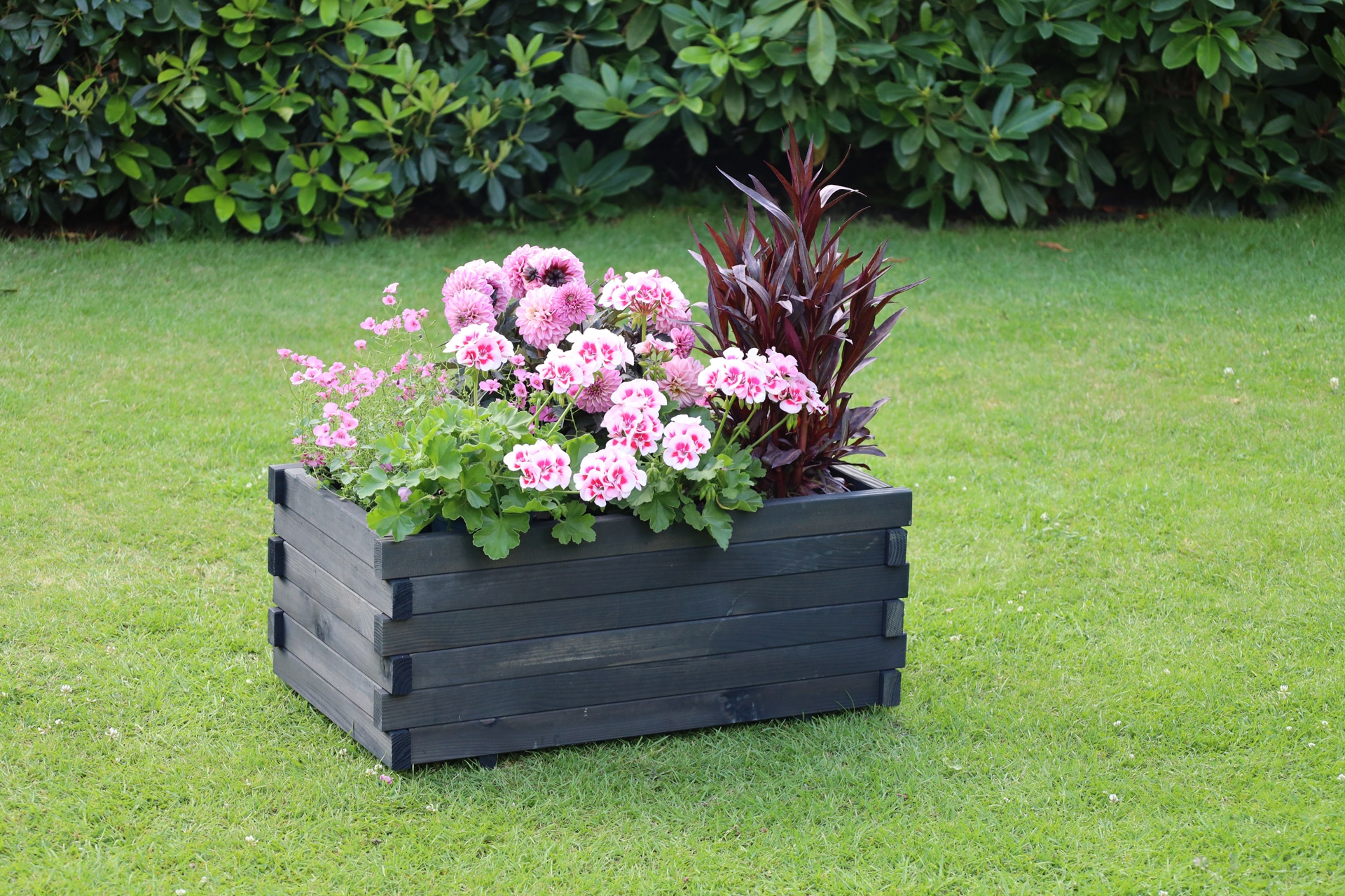 promadino Blumenkasten »Lucca«, BxTxH: 69x39x30 cm