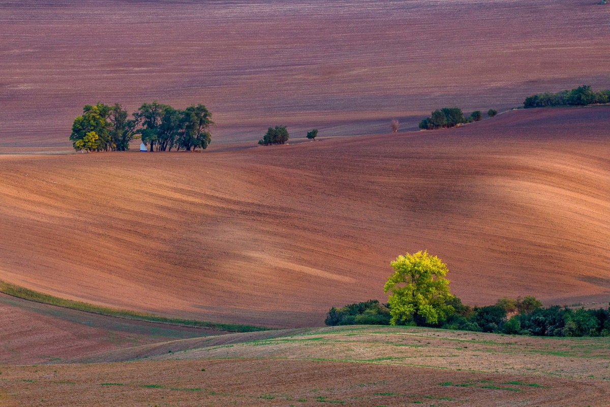 Papermoon Fototapete »Felder«
