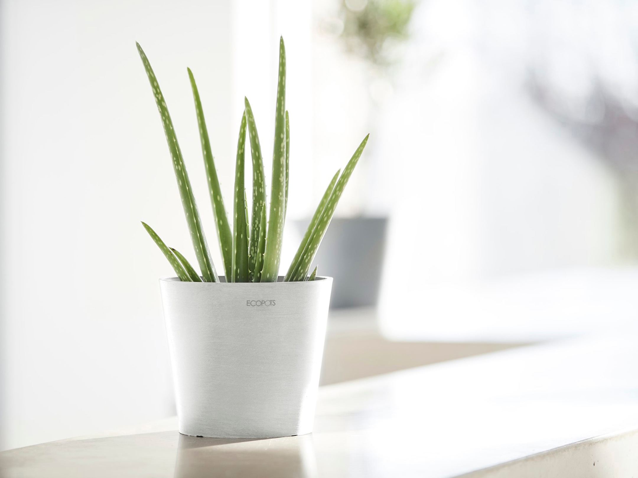 ECOPOTS Blumentopf »Amsterdam Mini 17 Weiß«, für den Innenbereich