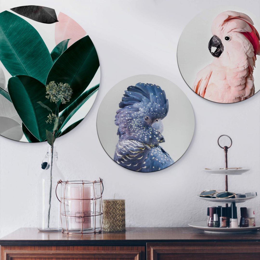 Wall-Art Mehrteilige Bilder »Vogel Set Kakadu Collage Rund«, (Set, 3 St.)  kaufen | BAUR