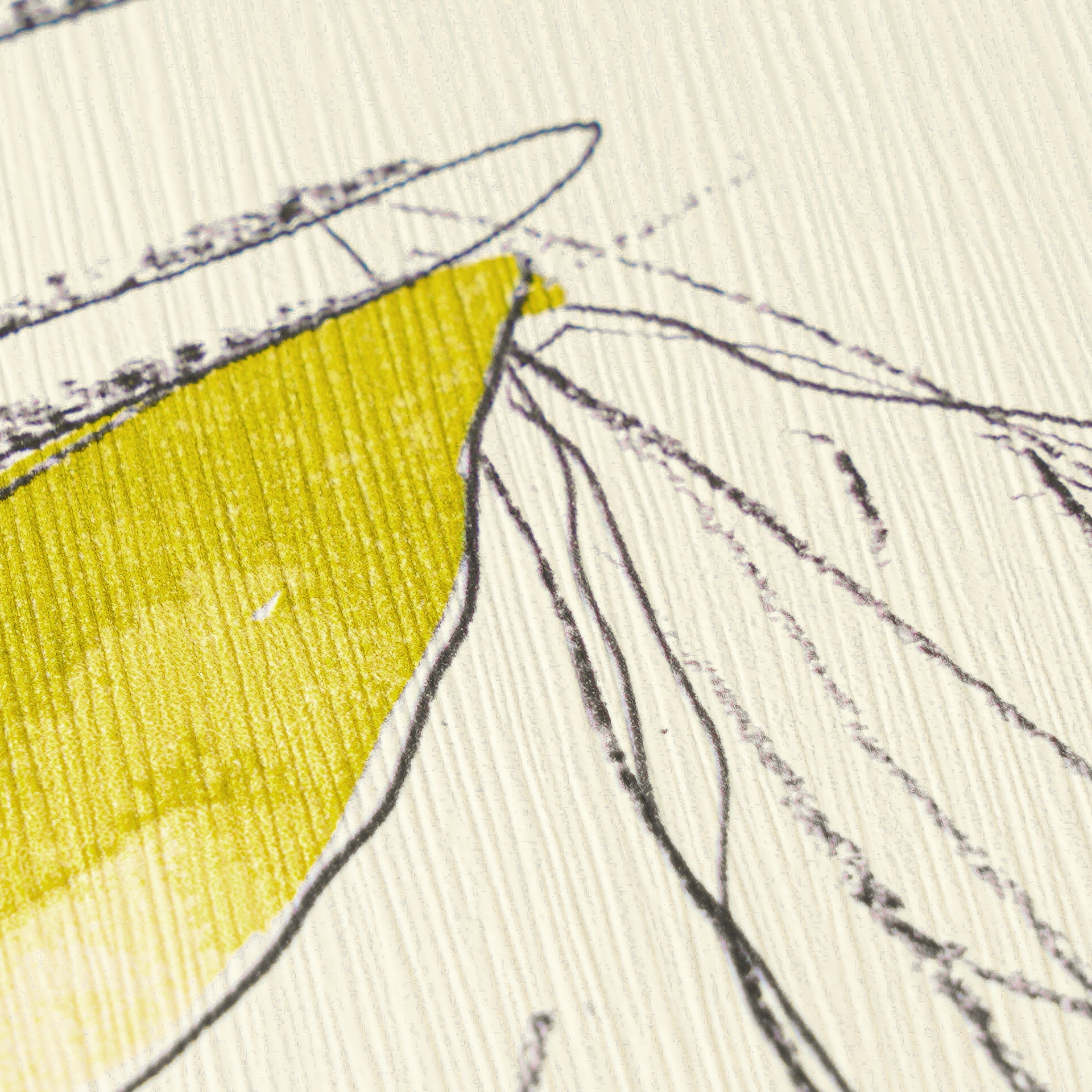 A.S. Création Vliestapete »Pintwalls III Tierporträt Galerie« 3D-Optik strukturiert