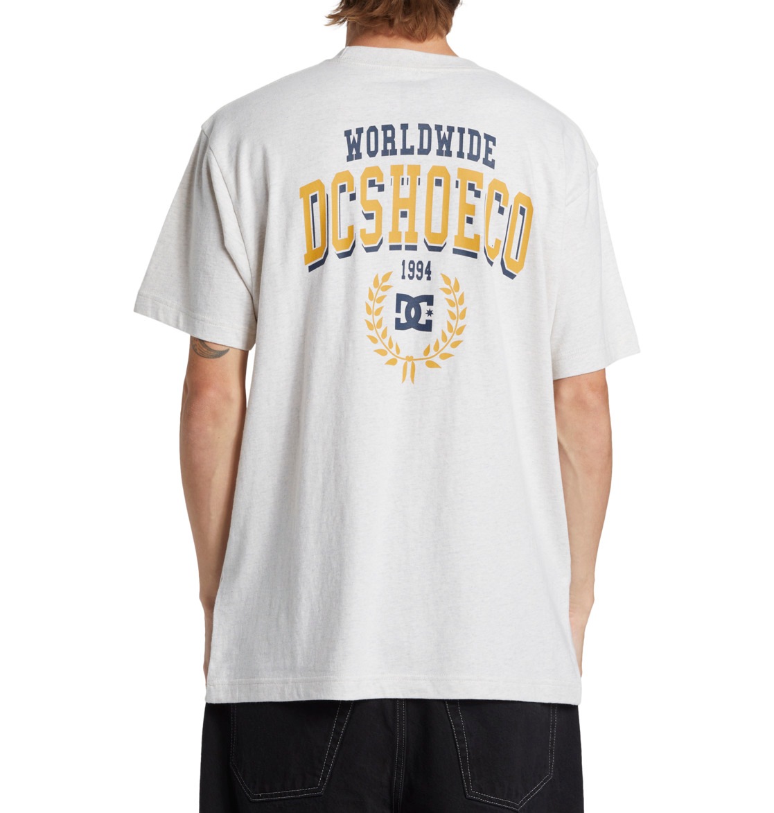 DC Shoes T-Shirt »Freshman«