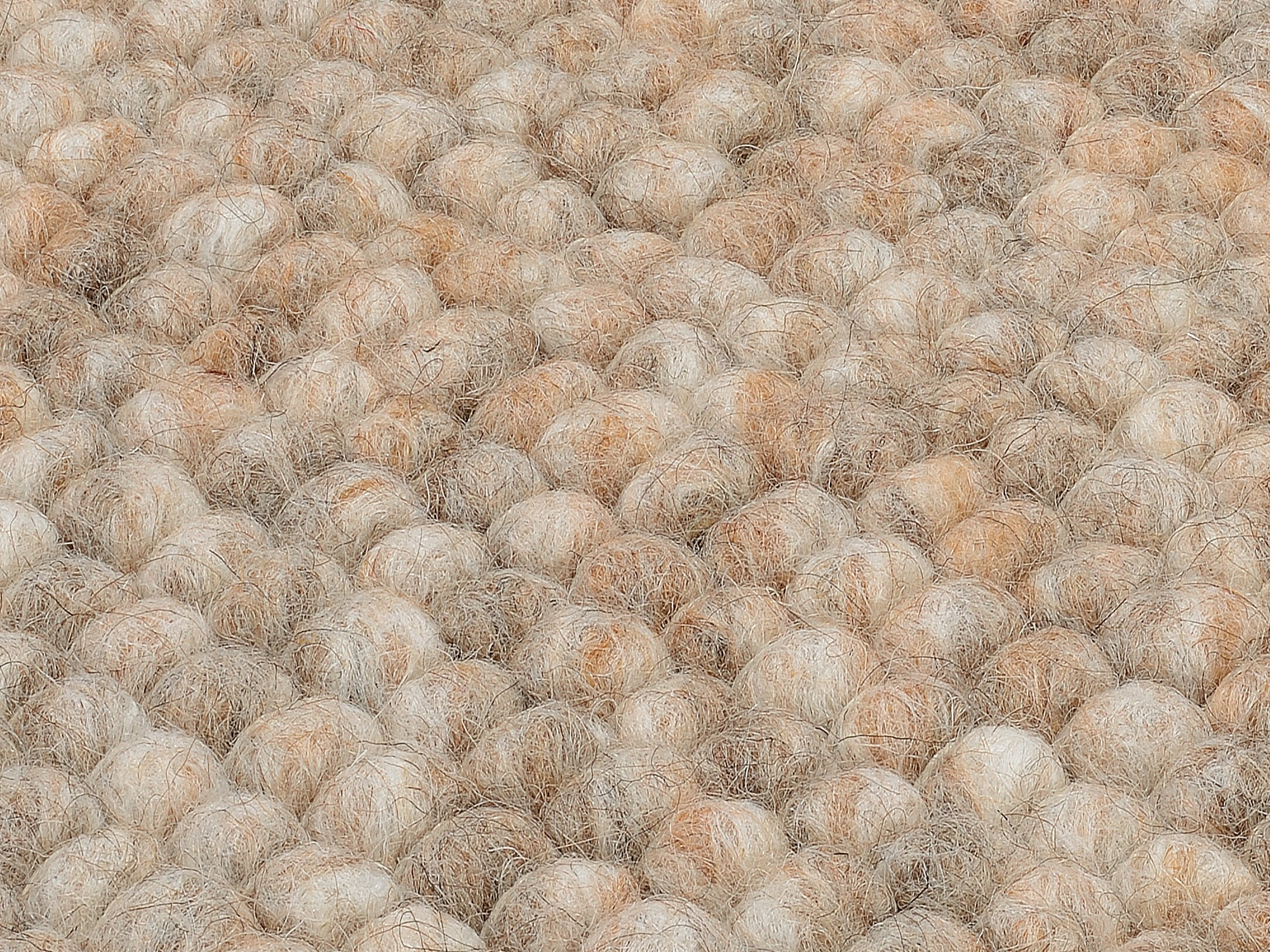 auf »FAVORIT«, Handweb-Teppich Indien, Teppich | aus BAUR handgewebt, hochwertig OCI Rechnung rechteckig, verarbeitet DIE TEPPICHMARKE