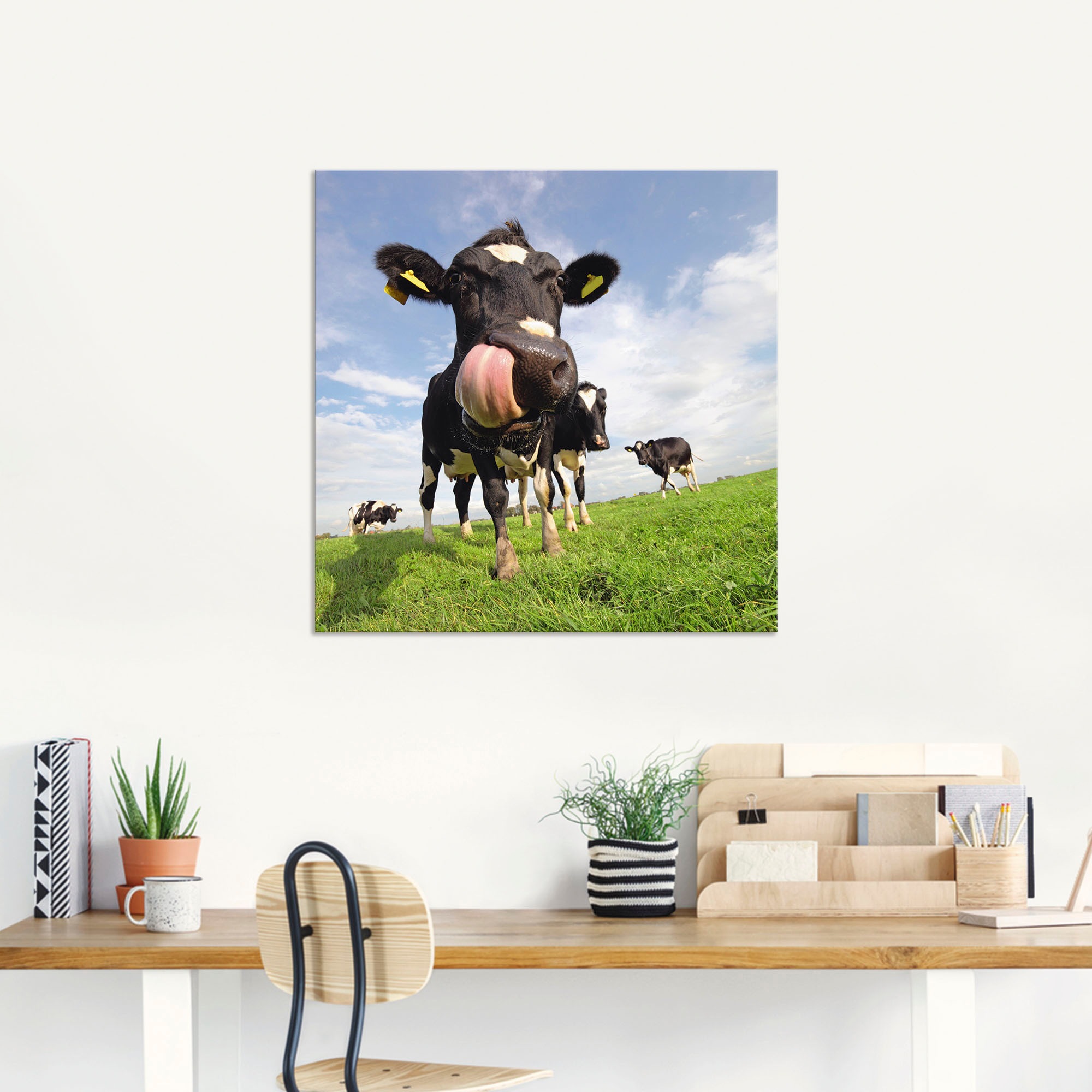 Artland Wandbild "Holstein-Kuh mit gewaltiger Zunge" Haustiere 1 Stk. tlg. günstig online kaufen
