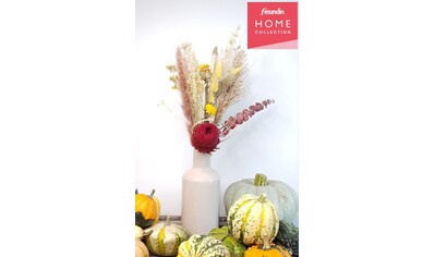 freundin Home Collection Trockenblume »Autumn Bloom«, (1 St.) kaufen