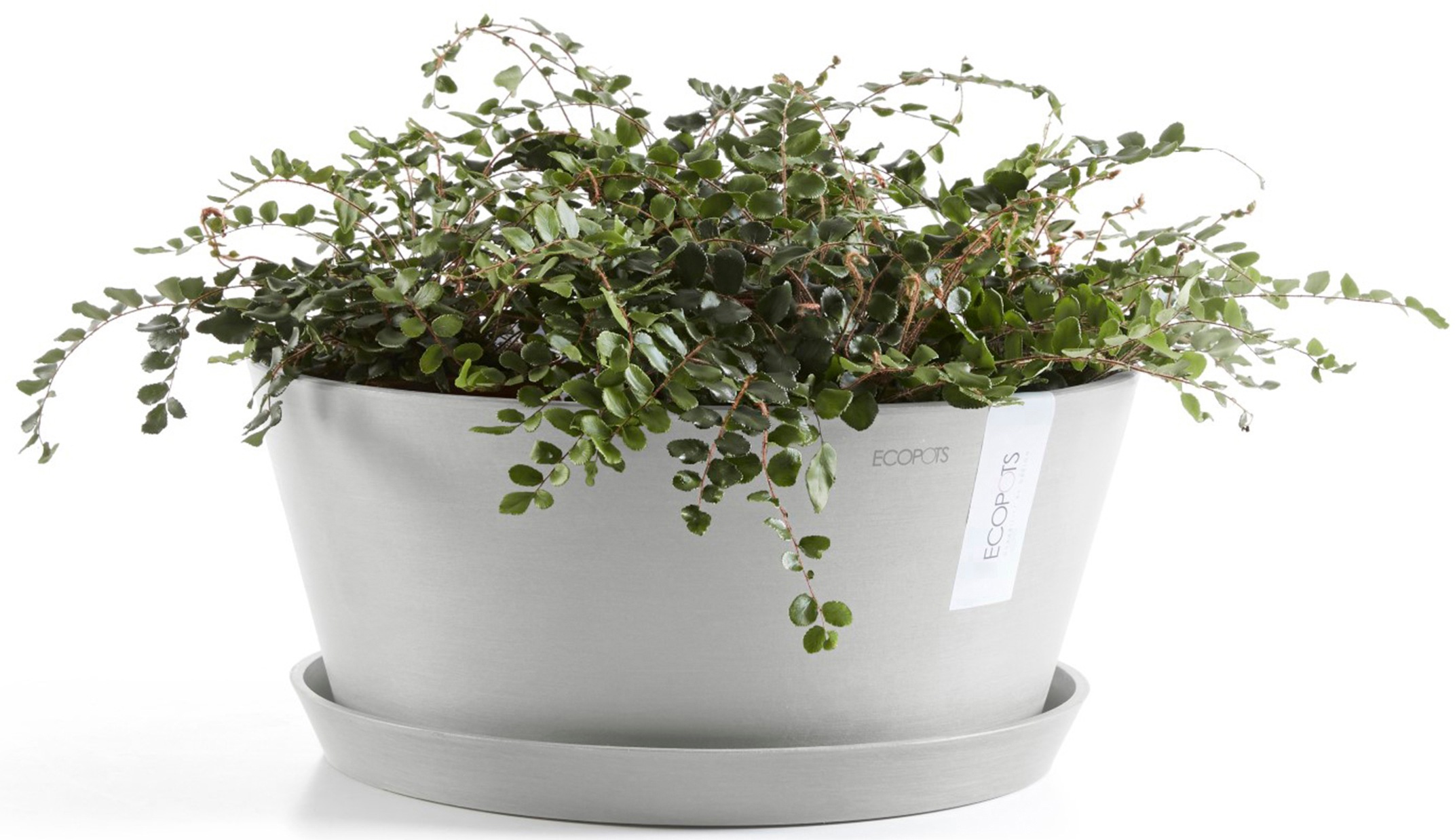 ECOPOTS Blumentopf »Frankfurt 30 Weißgrau«, für innen und außen: frostsicher, bruchsicher und lichtbeständig