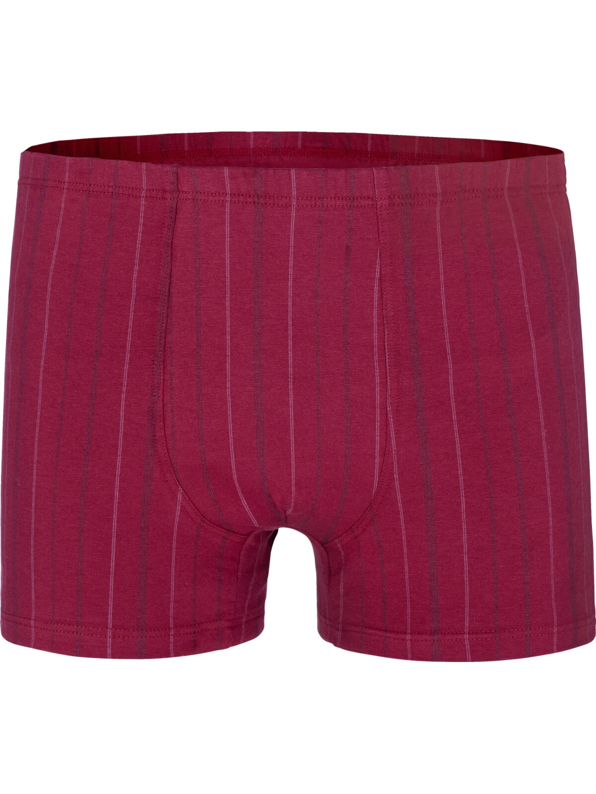 Charles Colby Retro Pants »3er Pack Retropant LORD HILLNEW«