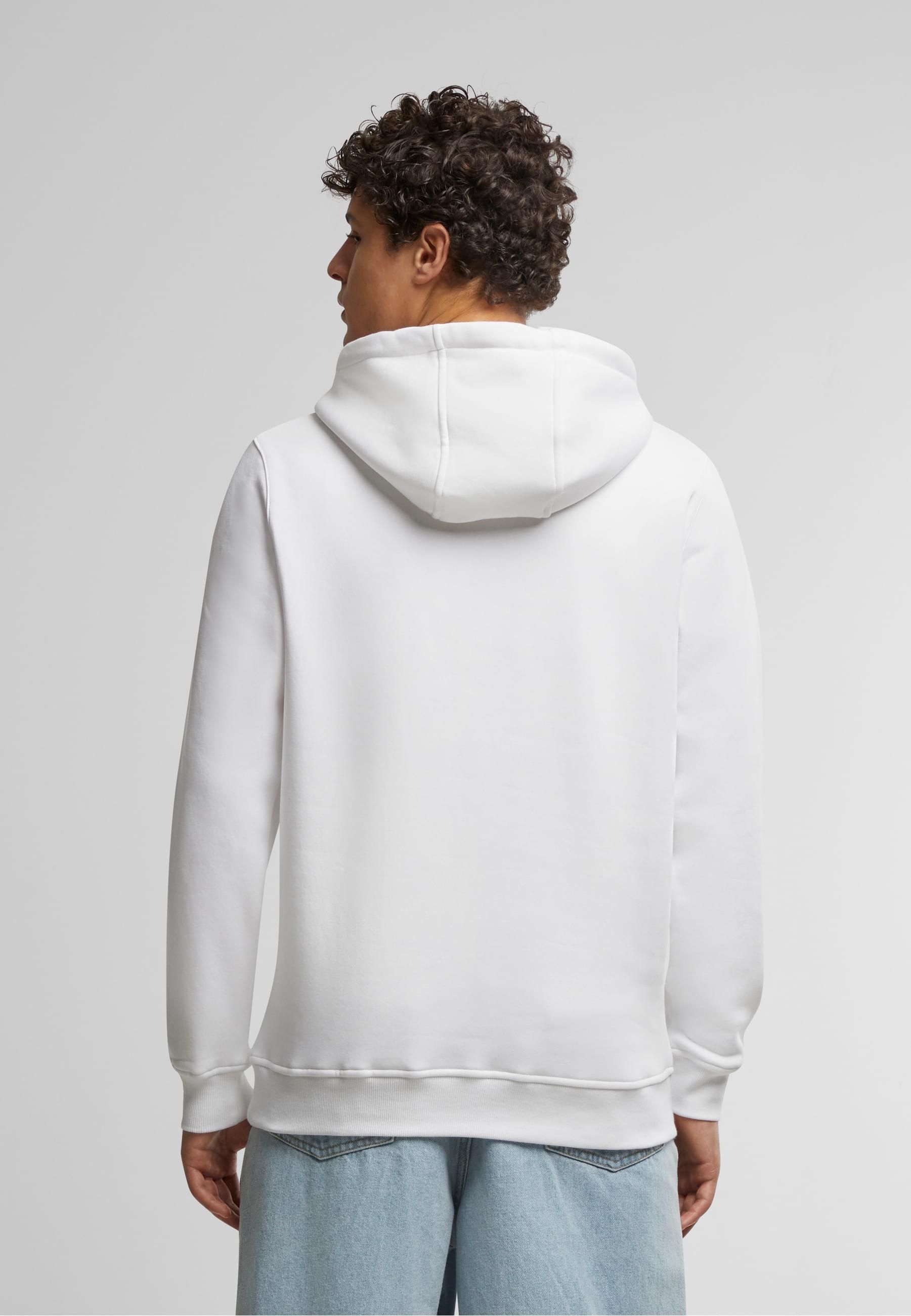 MisterTee Kapuzensweatshirt »MisterTee Detroit Tiger Head Hoody«, (1 tlg.)