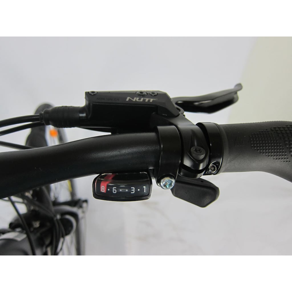 Maxtron E-Bike »MT 12«, 8 Gang, Shimano, Altus, Heckmotor 250 W