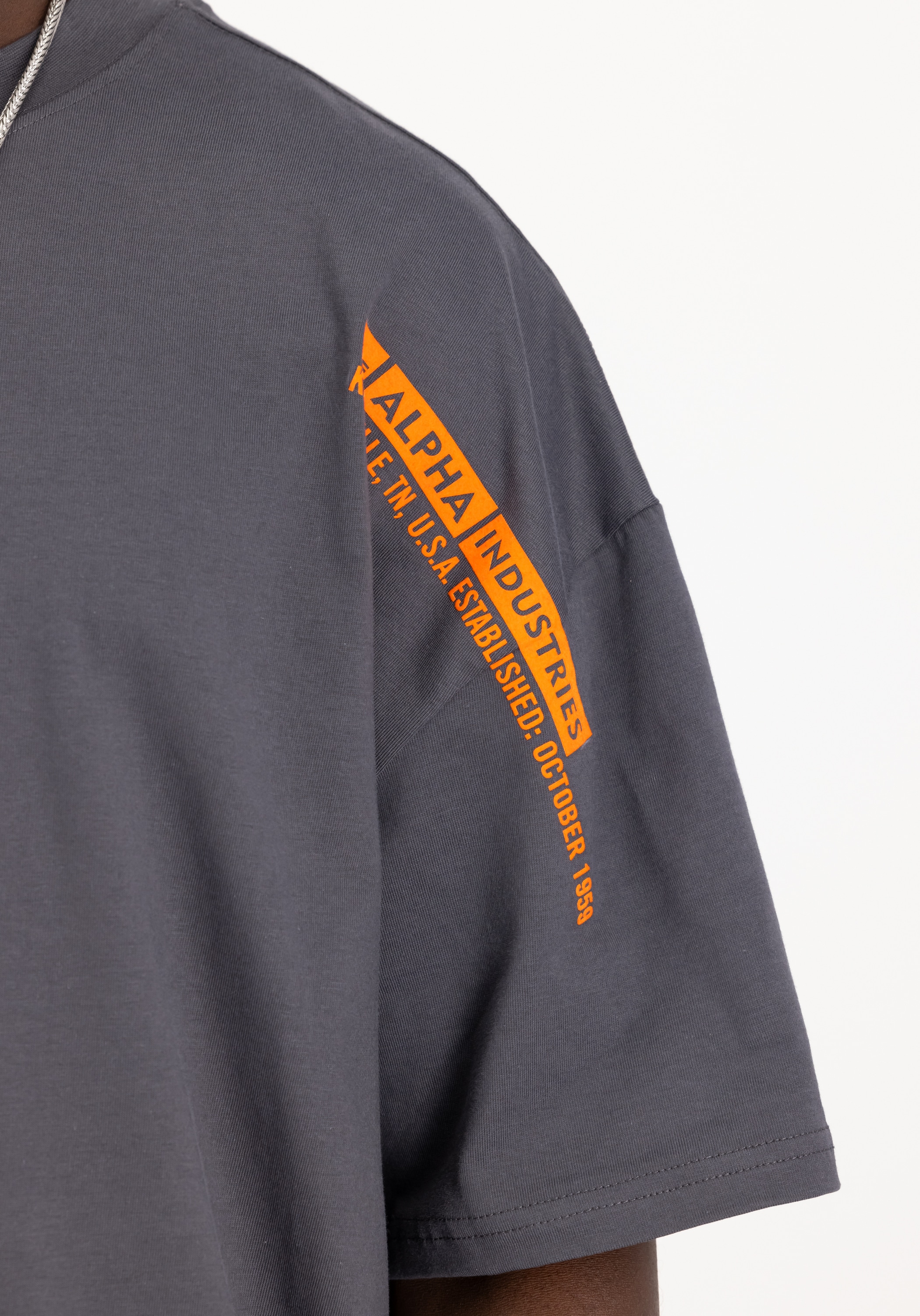 Alpha Industries T-Shirt »Flock Logo T-Shirt T-Shirt«