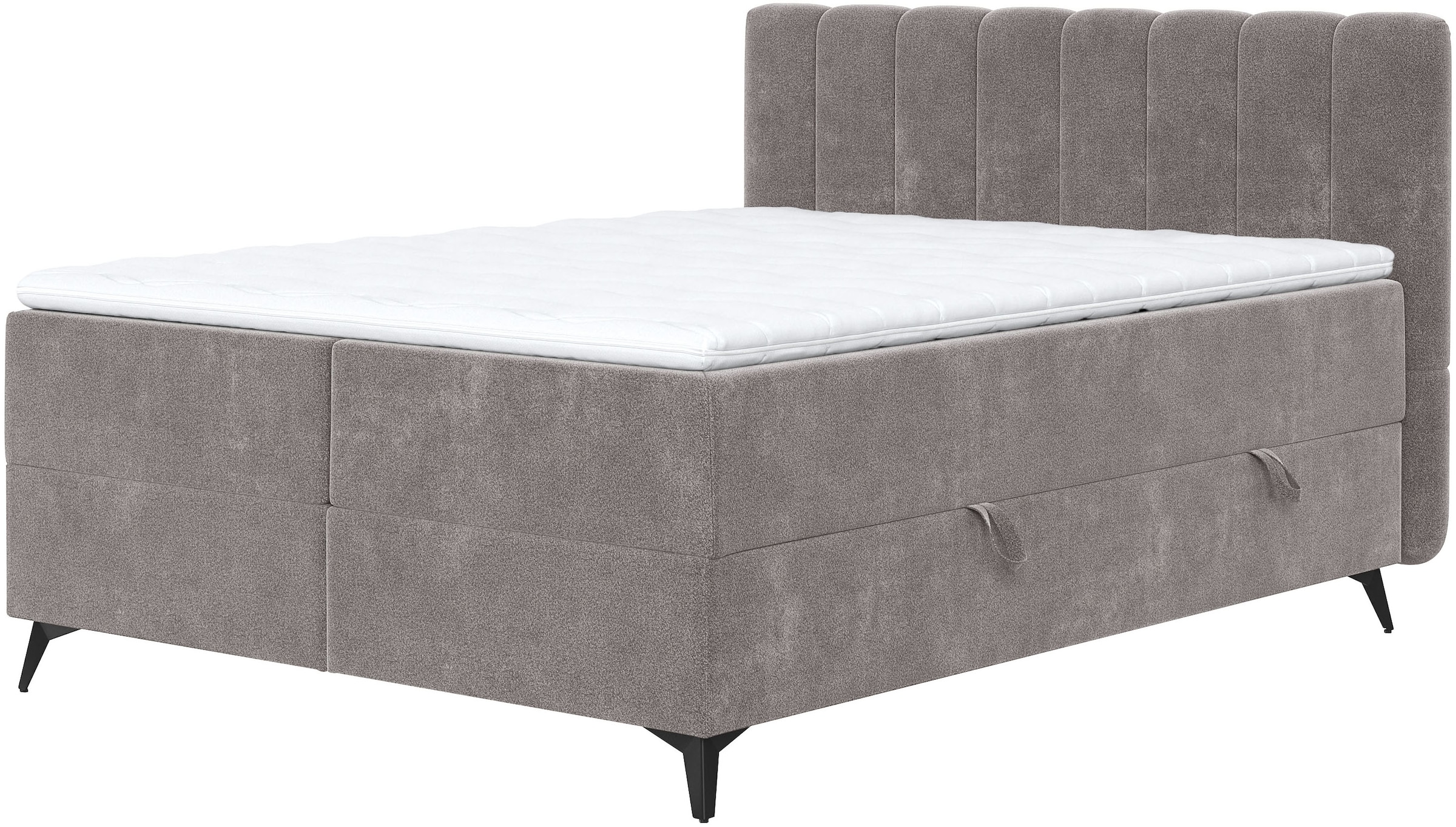 COTTA Boxbett "Vicky inkl. Bettkasten" erhältlich in den Breiten 160x200cm & 180x200cm