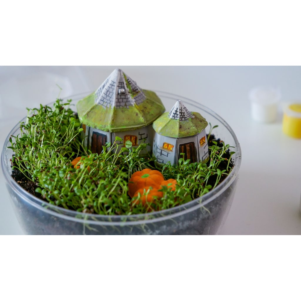 Clementoni® Experimentierkasten »Harry Potter, Terrarium«