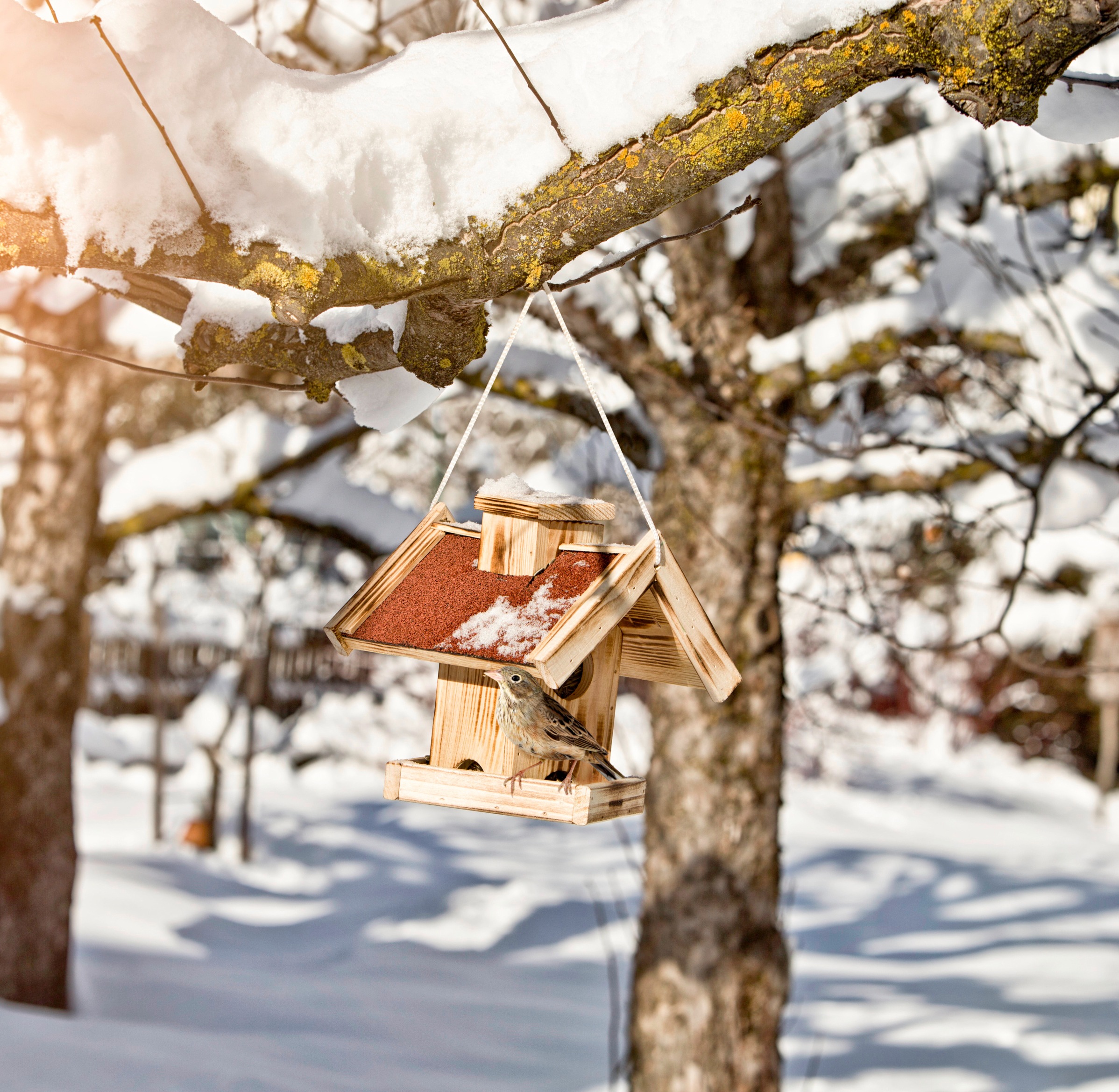 Windhager Vogelhaus »Gaisberg« BxTxH: 27x24x25 cm