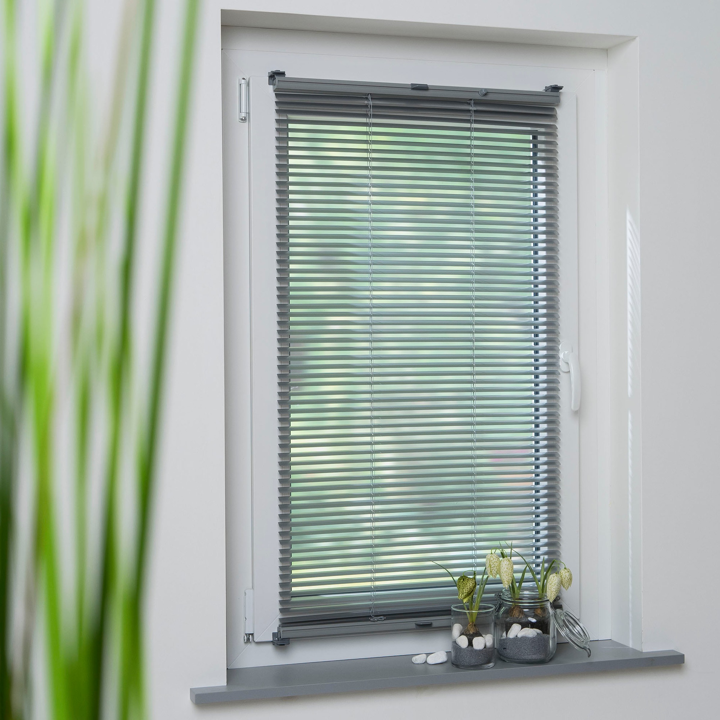 Liedeco Jalousie "Klemmfix-Aluminiumjalousie" ohne Bohren verspannt günstig online kaufen