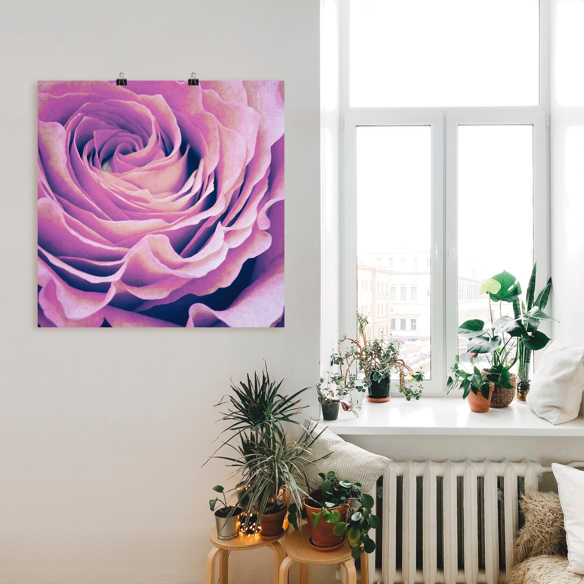 Poster ARTLAND "Lila Rose", lila (farbe bild(er): lila), B:50cm H:50cm, Bilder, Poster, ohne Rahmen 2